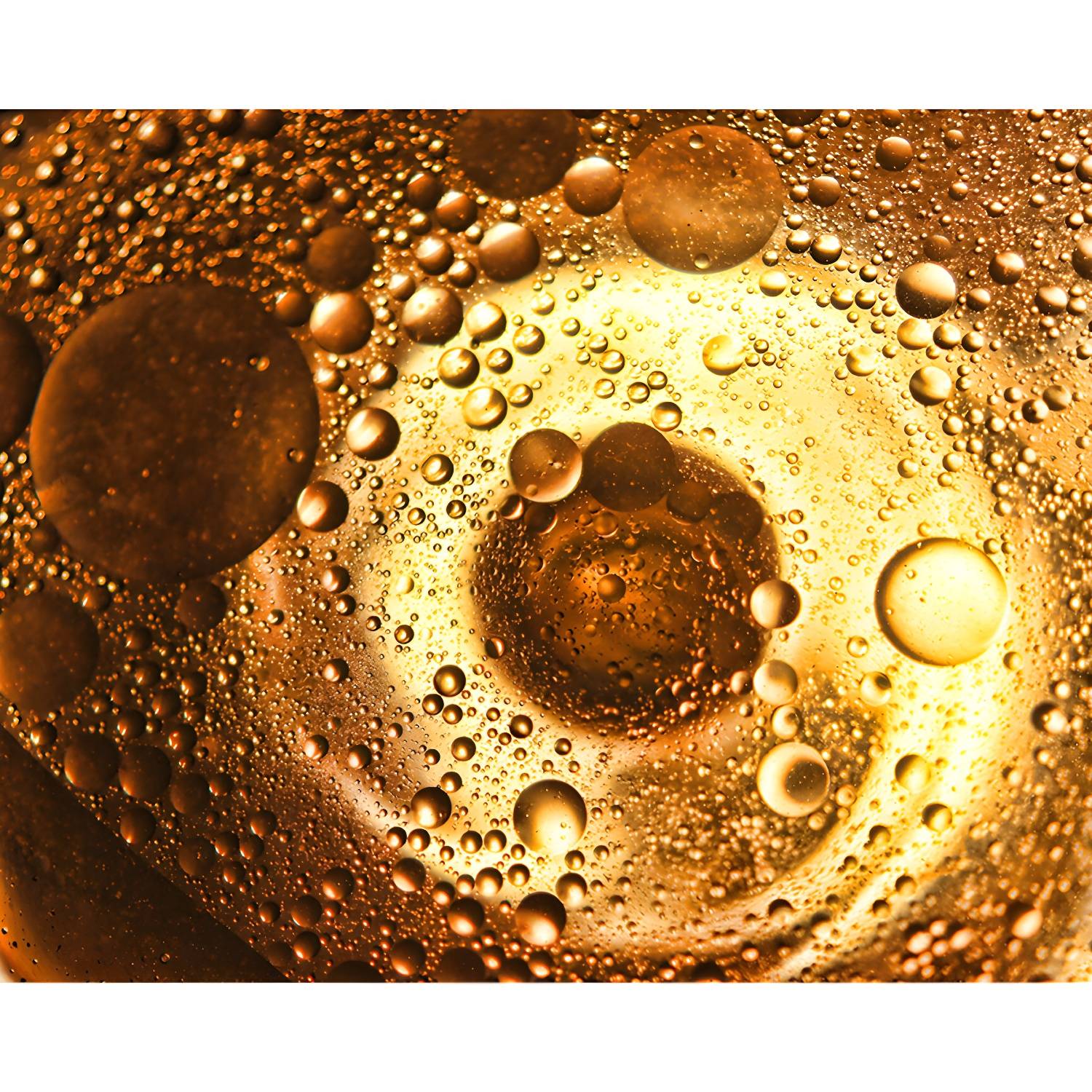 Imported image d0412919a229 4990884.jpg