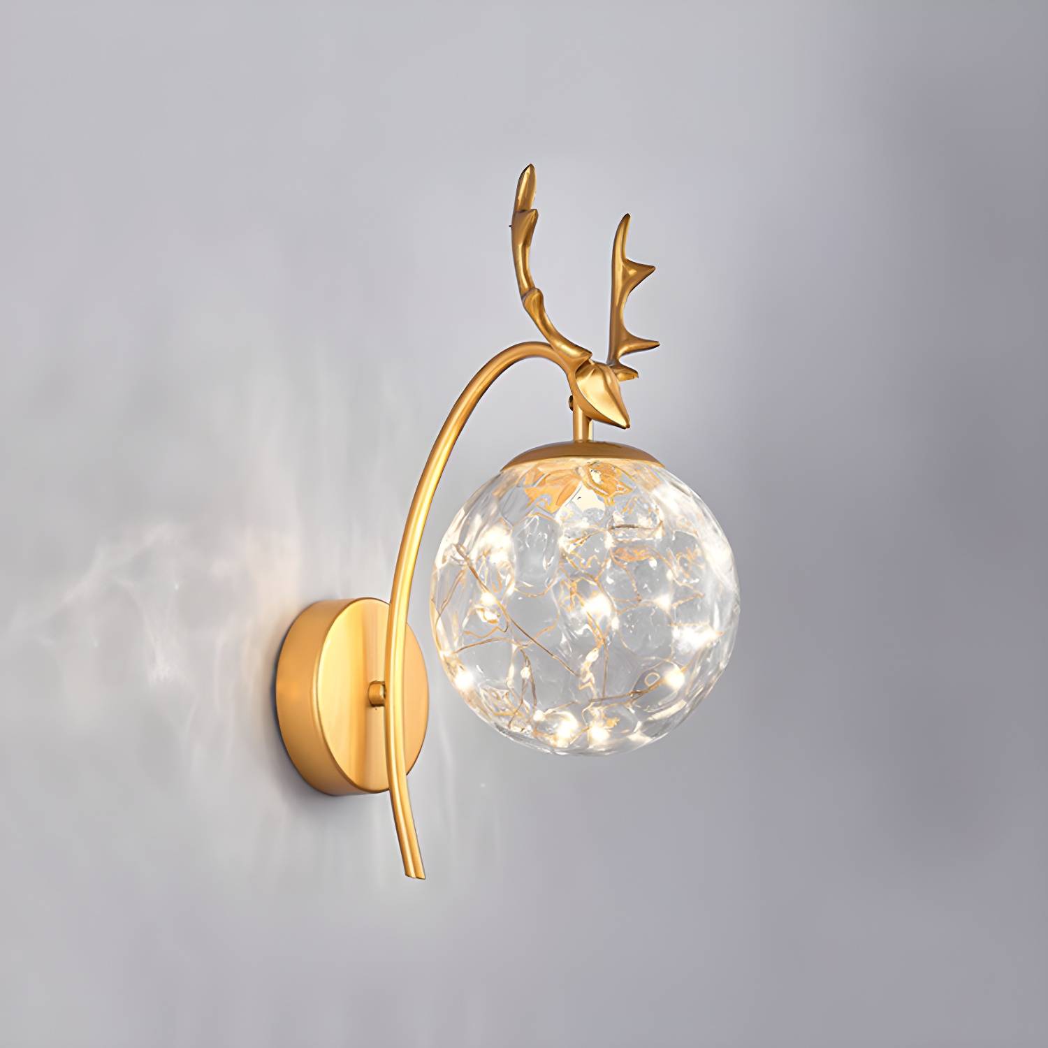 Imported image 228d436ea874 5007948.jpg