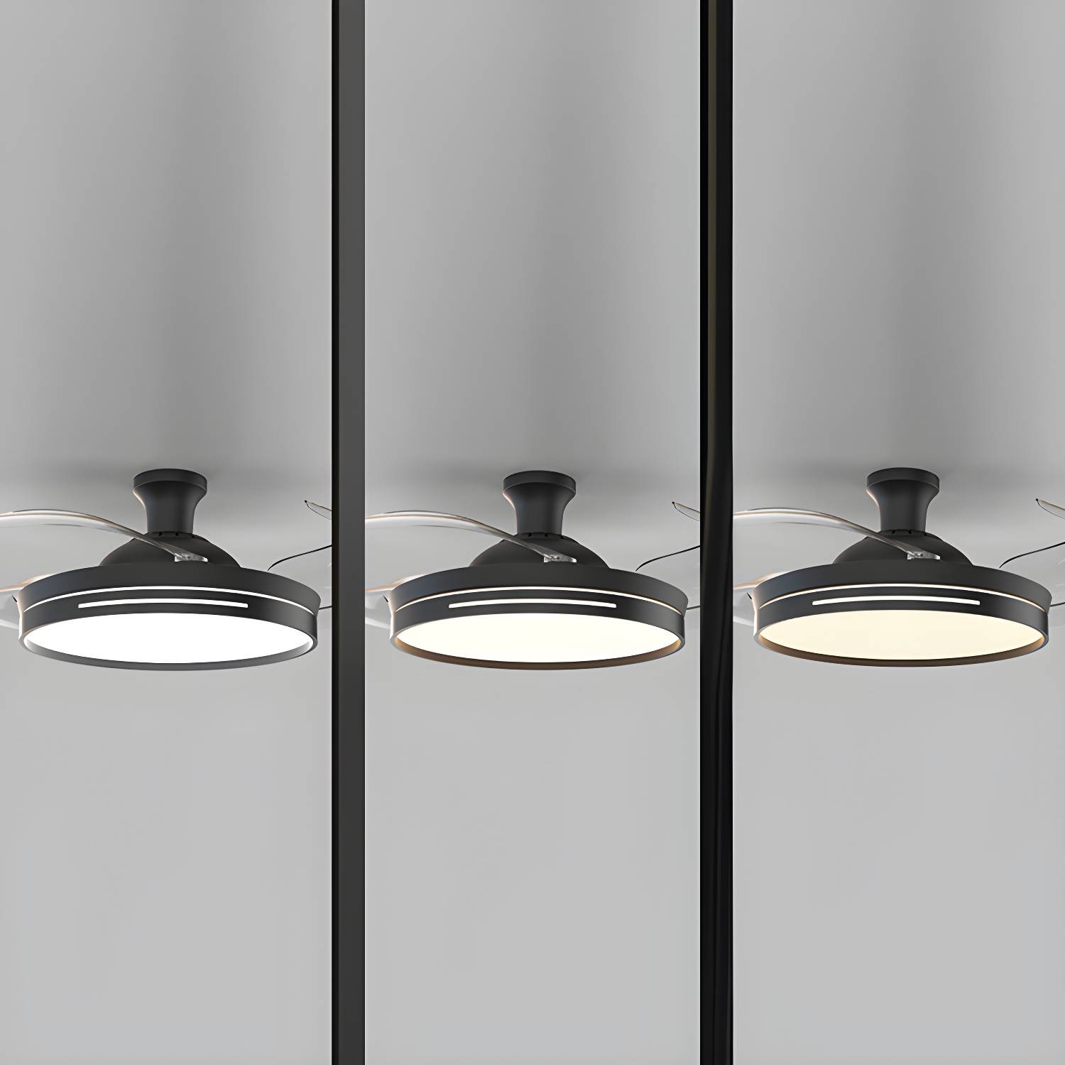 Imported image 41fa59490a53 5009820.jpg