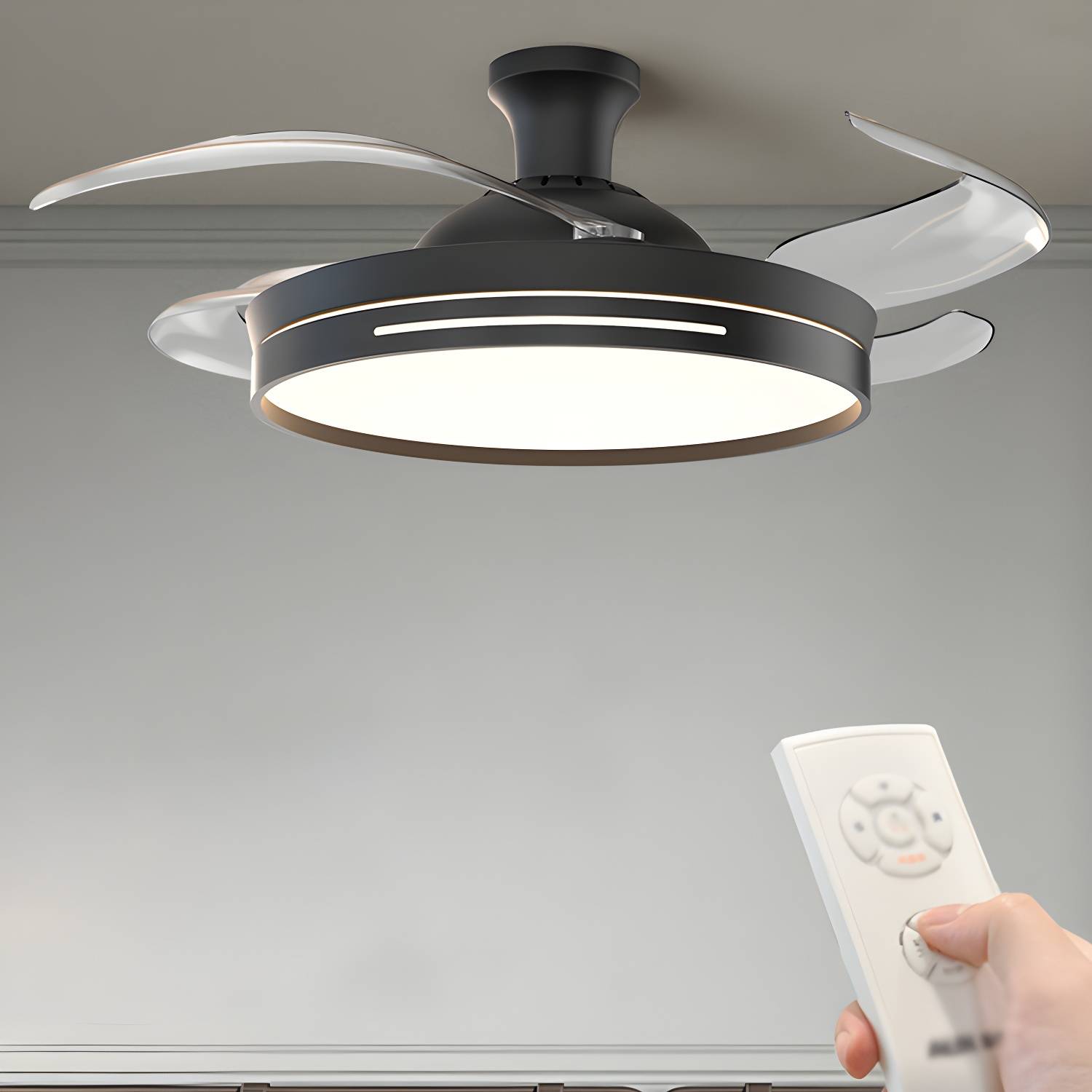 Imported image a6487bdd769f 5009827.jpg