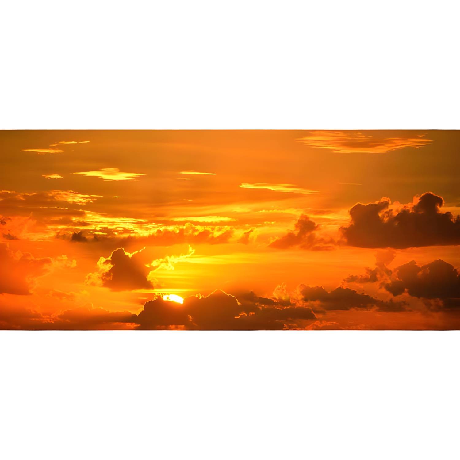 Imported image 851076b397c4 5017380.jpg