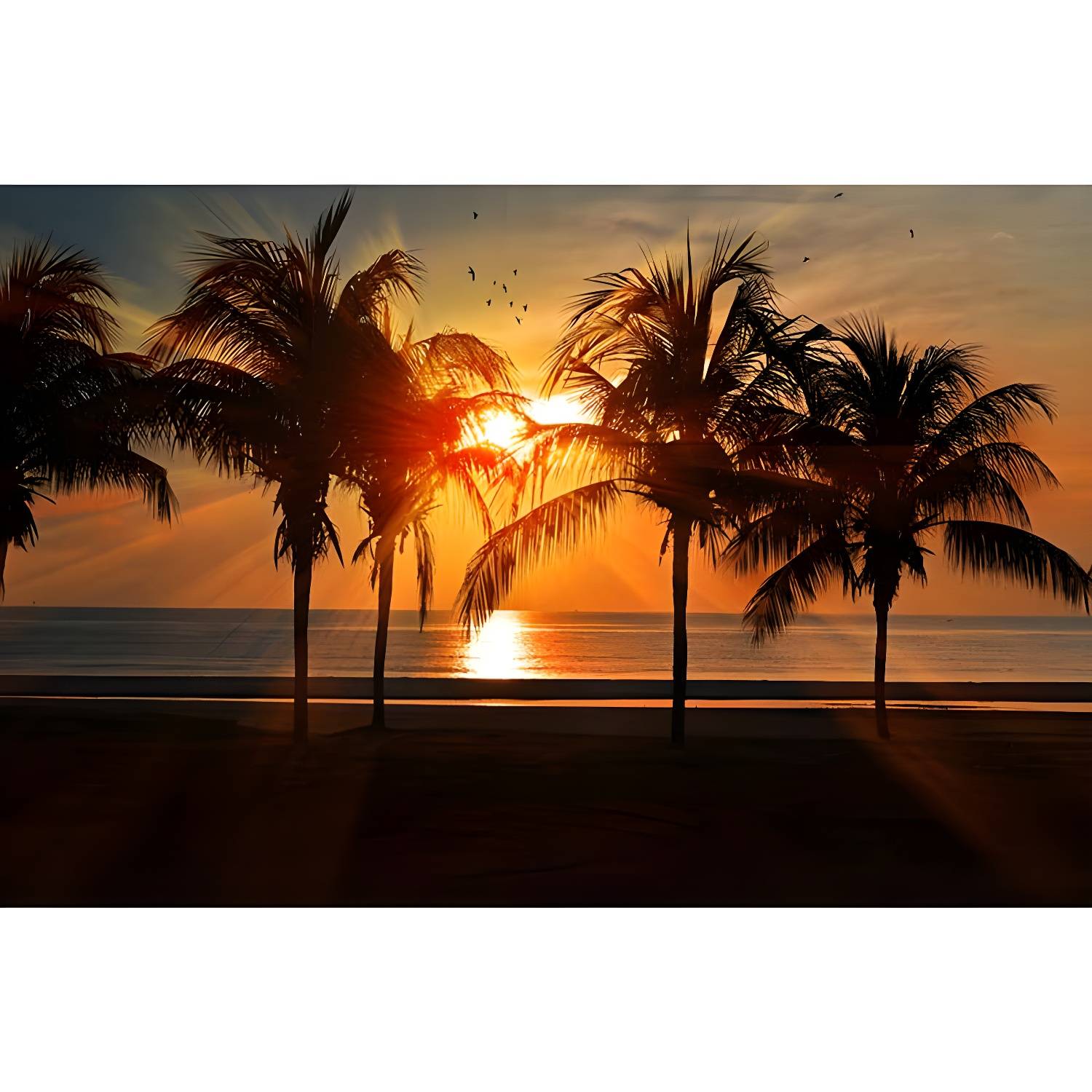 Imported image a34f0cad8db3 5017393.jpg