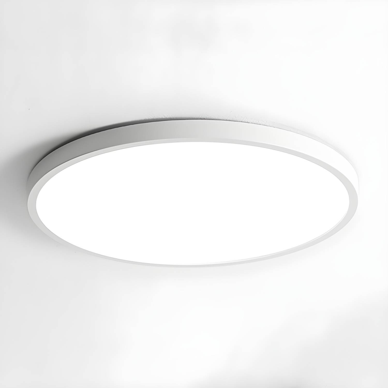 Imported image d49de2388cd8 5037380.jpg