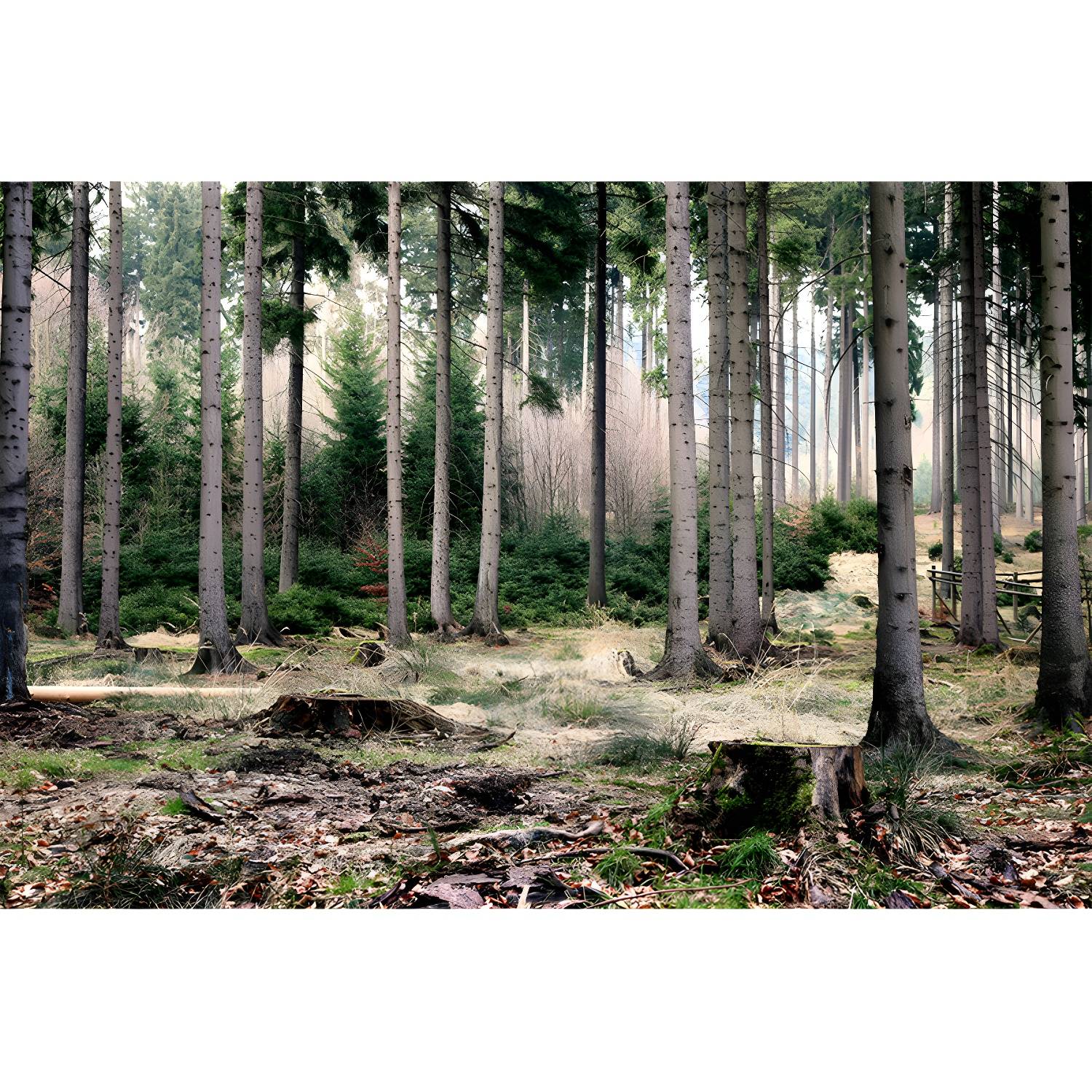 Imported image 9a4a3edbdc76 5047373.jpg