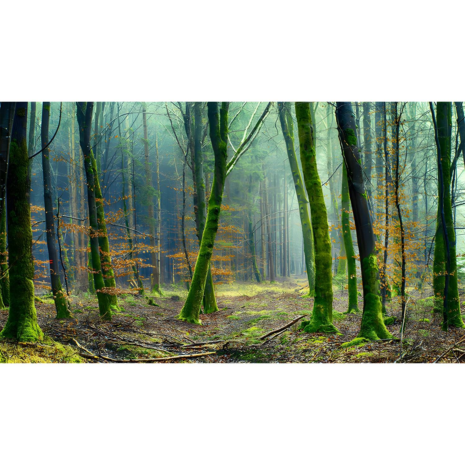 Imported image 61b7813b0d82 5047381.jpg