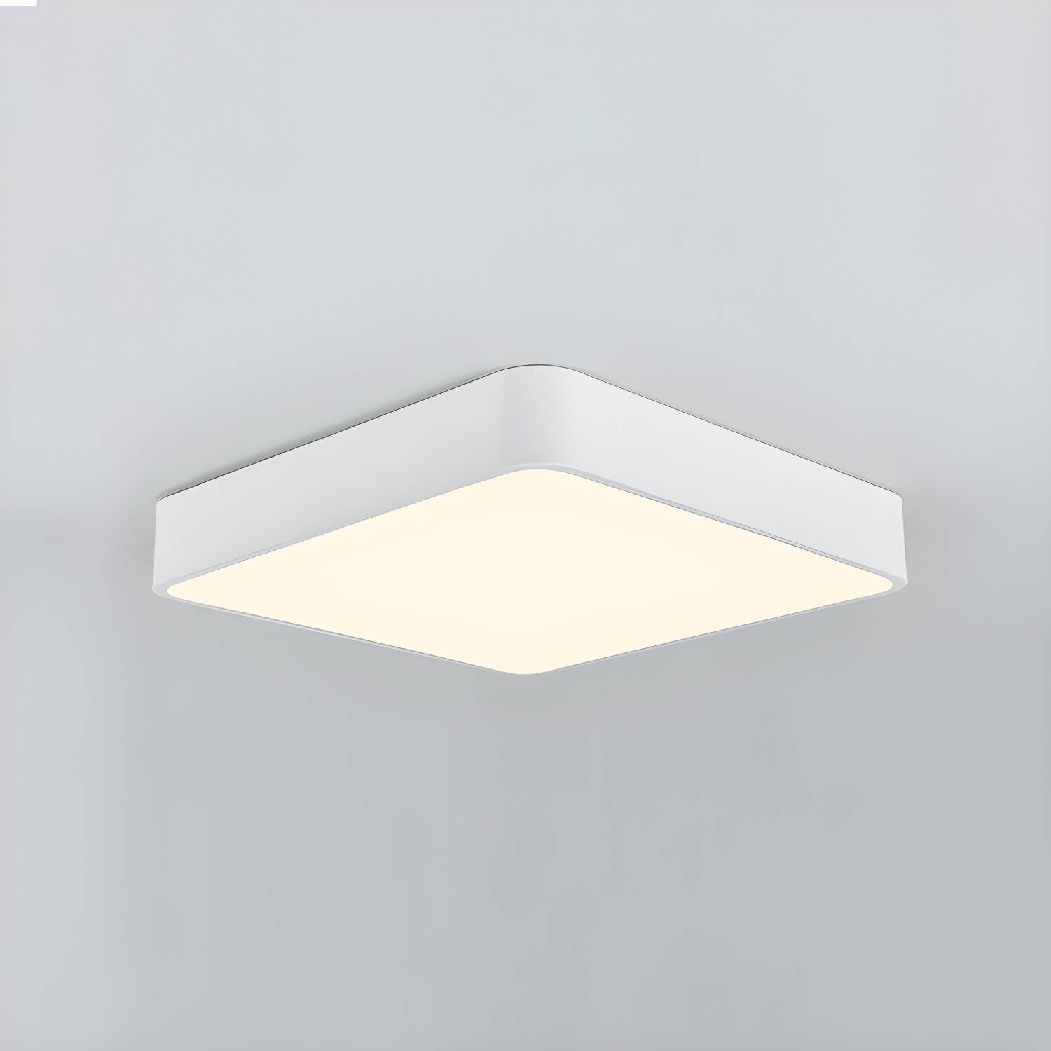 Imported image 32a2e3d76839 5058679.jpg