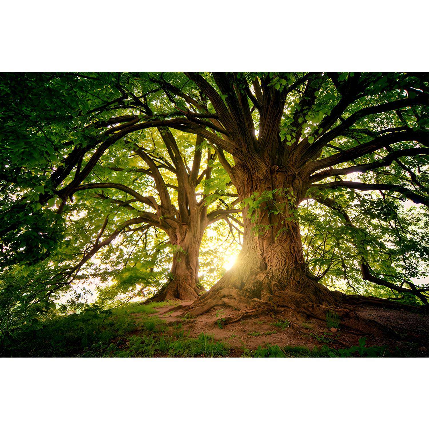 Imported image 833e255fe691 5076080.jpg