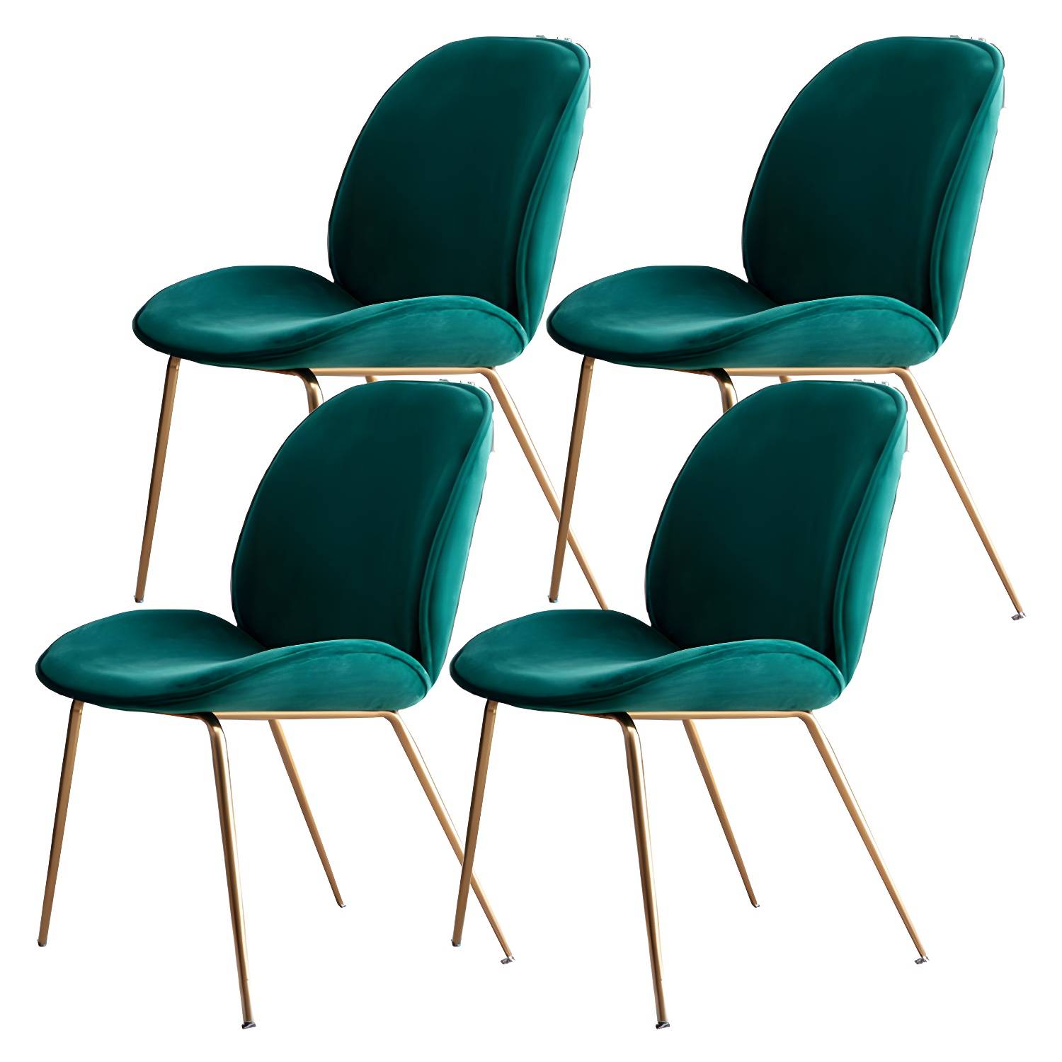 Imported image f87c8e6e8374 5081860.jpg