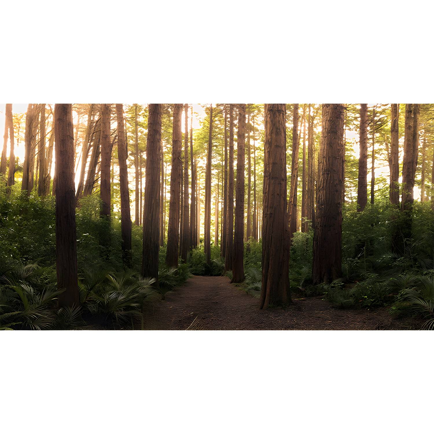 Imported image ad1020b3aabd 5089772.jpg