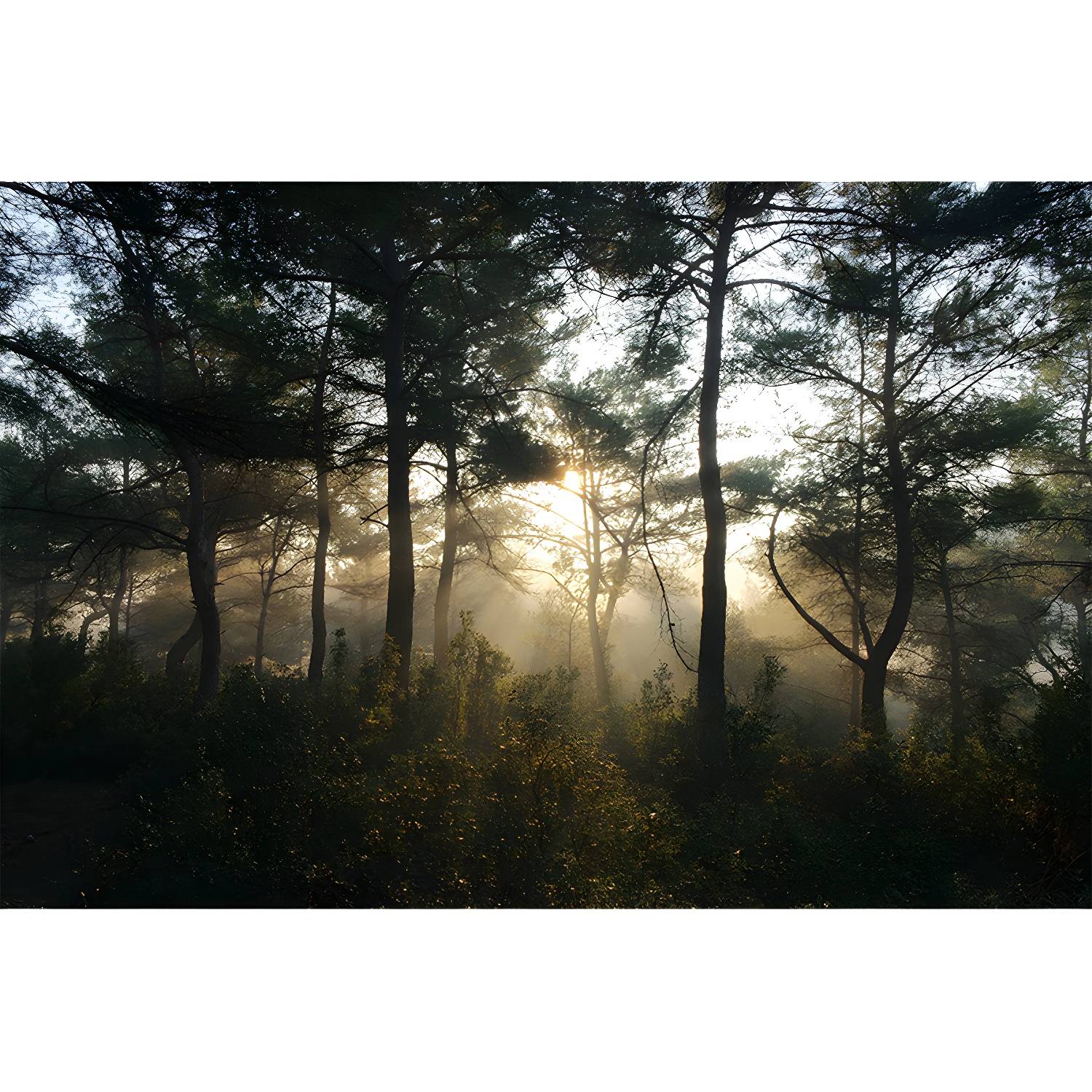 Imported image e6b60facf668 5089776.jpg