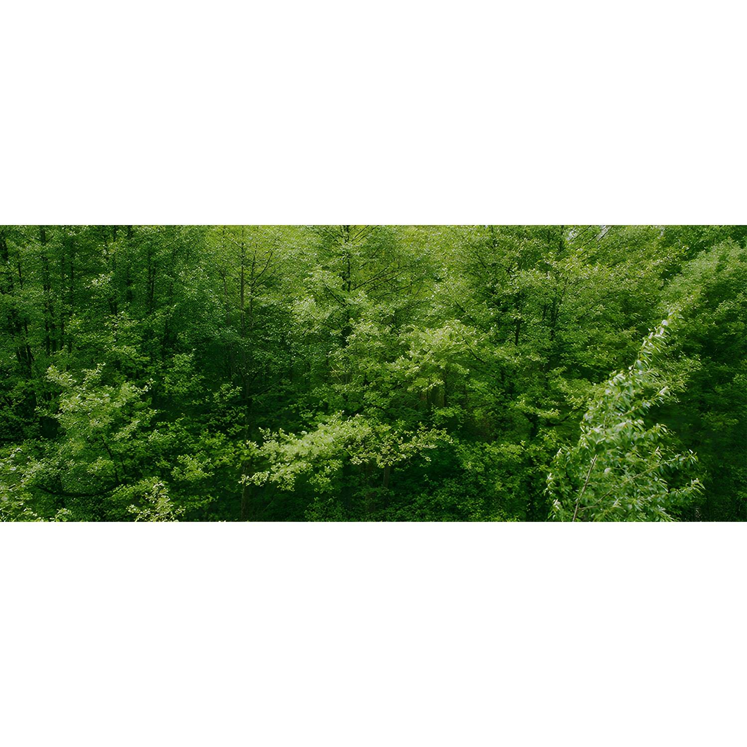 Imported image a636024df6d1 5089798.jpg