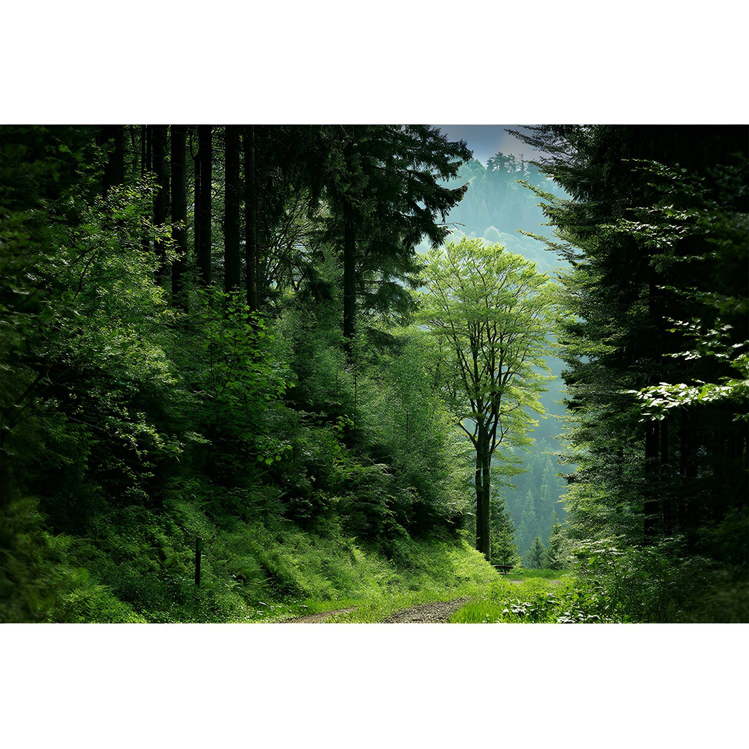 Imported image 7fcec730c2a1 5089956.jpg