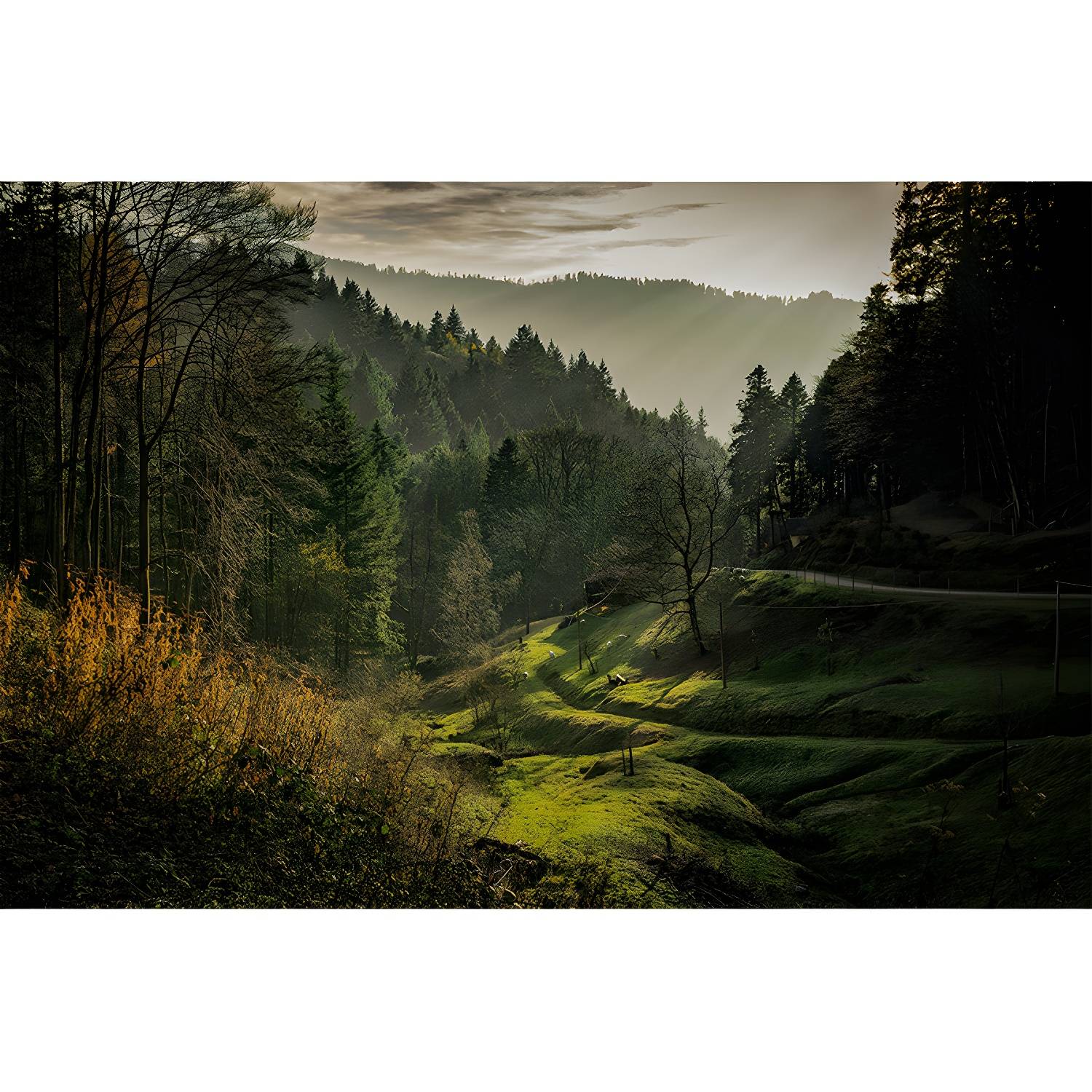 Imported image f954df7838d3 5089960.jpg