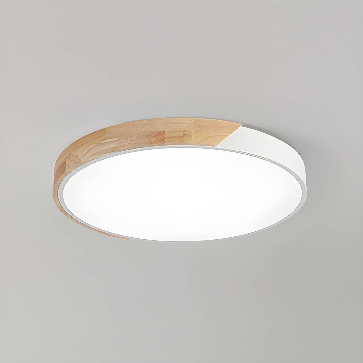 Imported image ad87fc9c3251 5094284.jpg