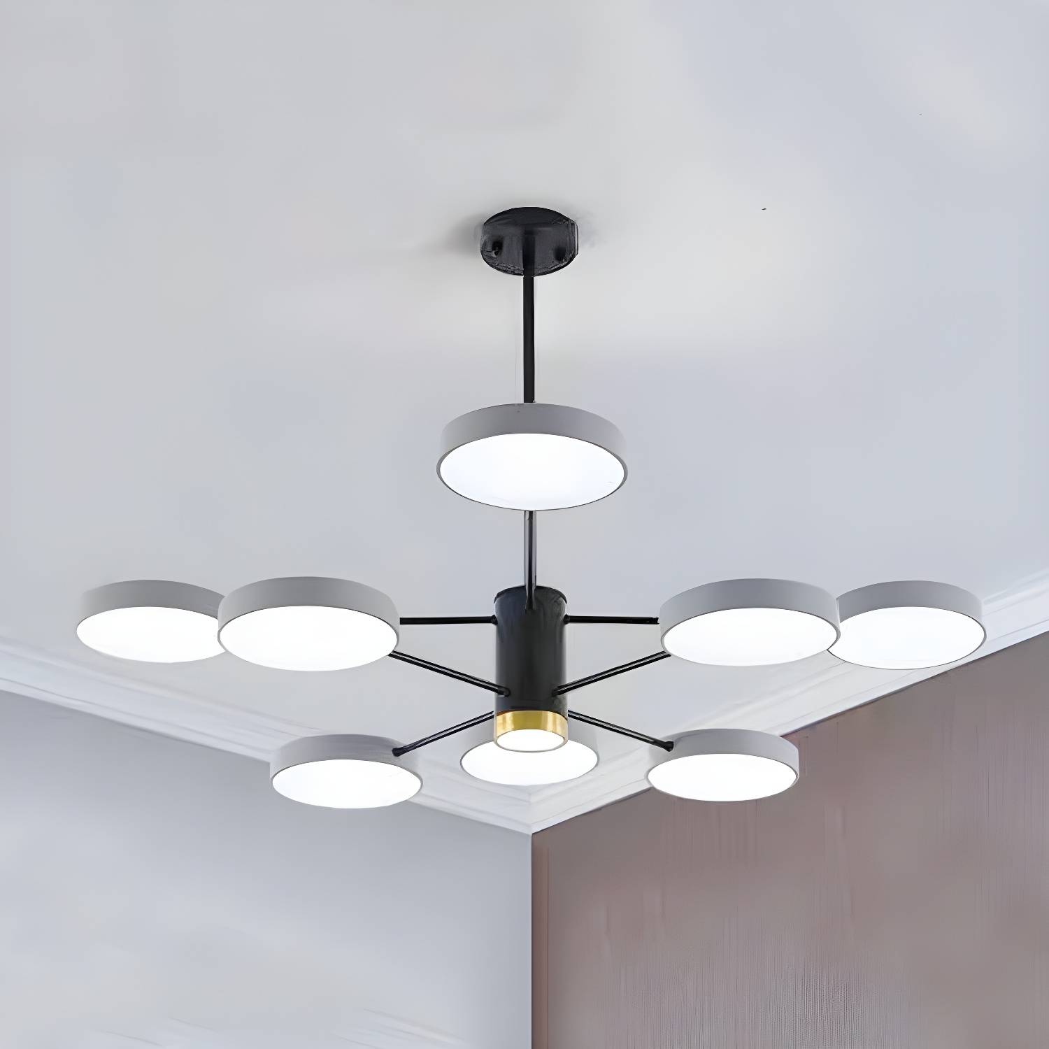 Imported image d824ede90b24 5095497.jpg