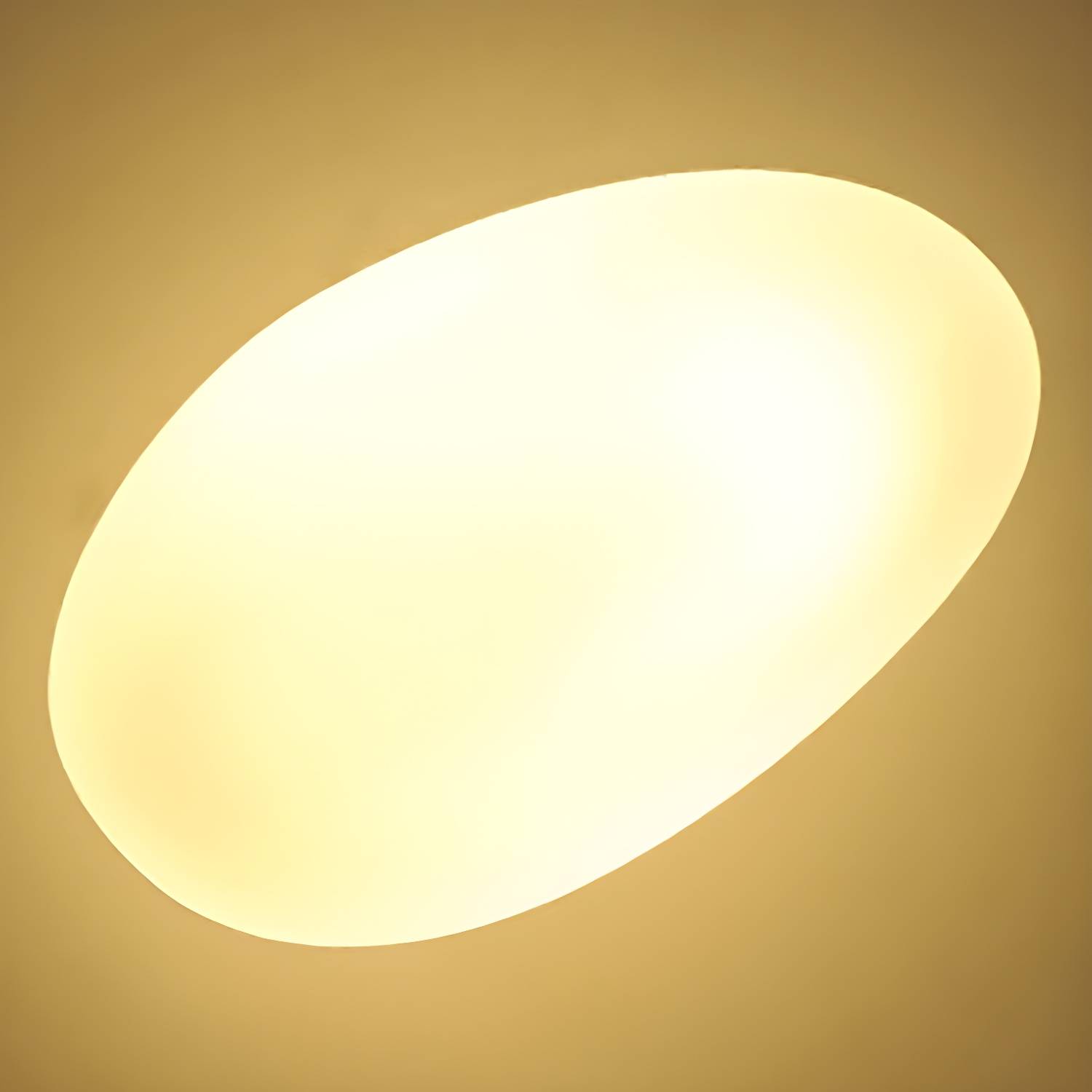 Imported image f72d976f6dbd 5115153.jpg
