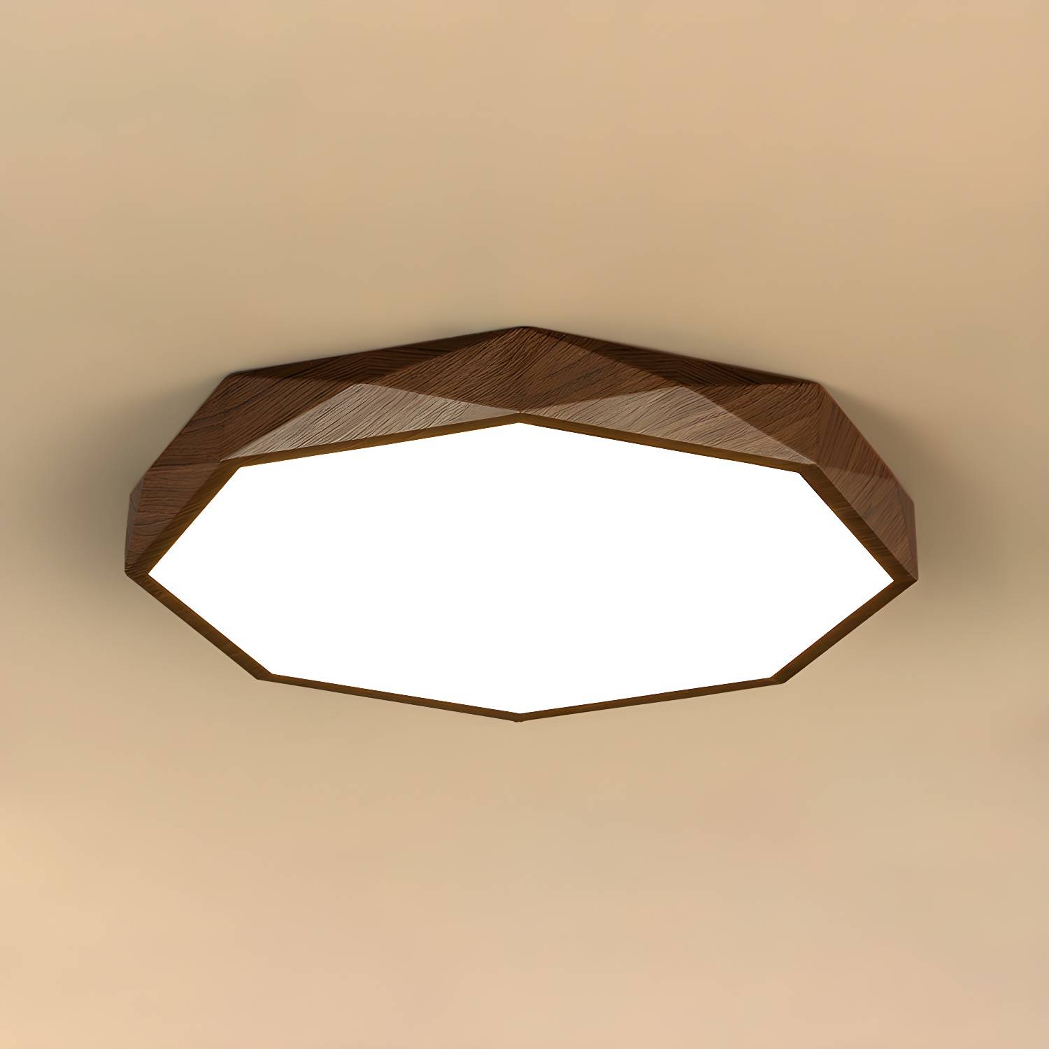 Imported image 23a221b49729 5143751.jpg