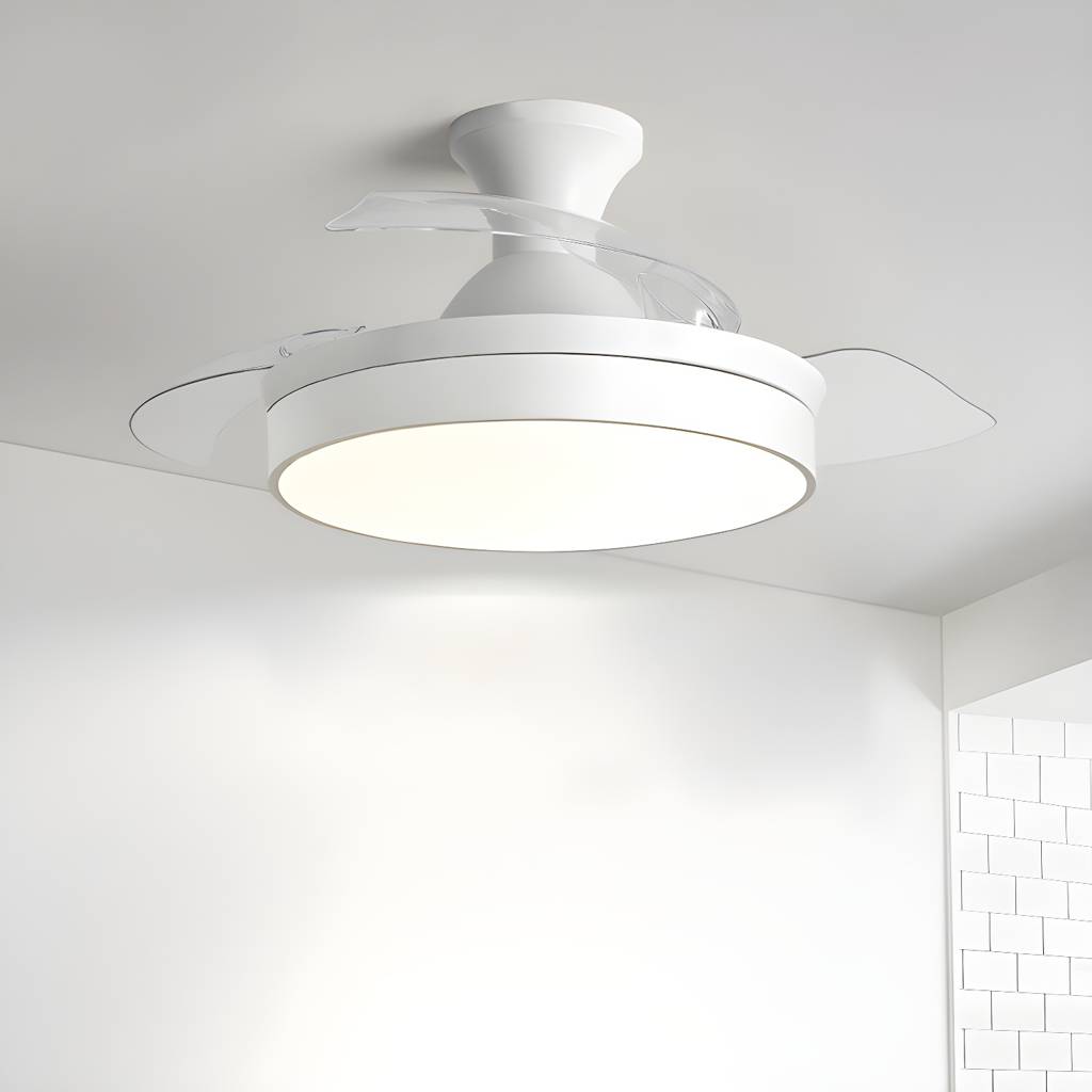 Imported image ea95da16af3d 5153924.jpg