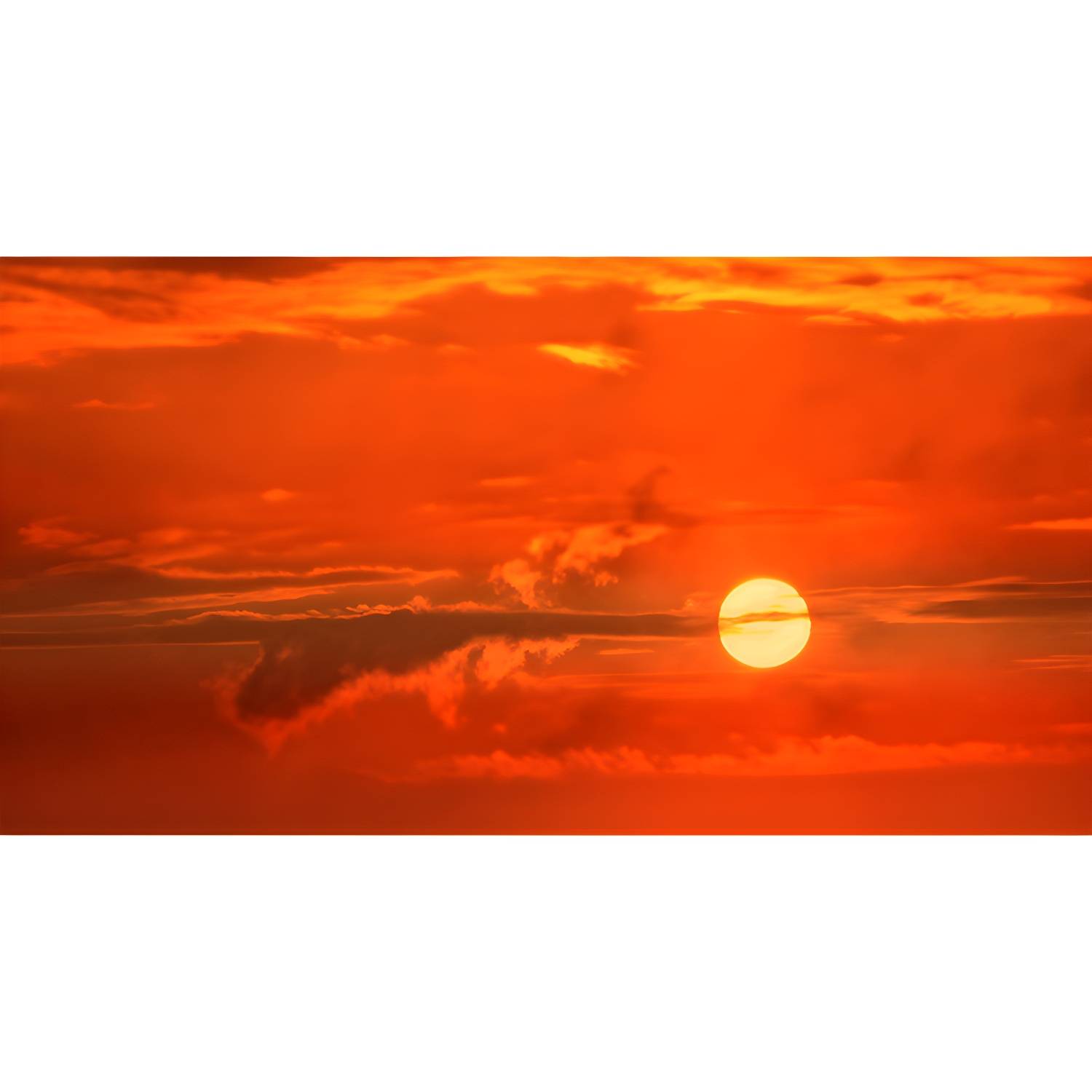 Imported image df17bf4635d9 5172391.jpg