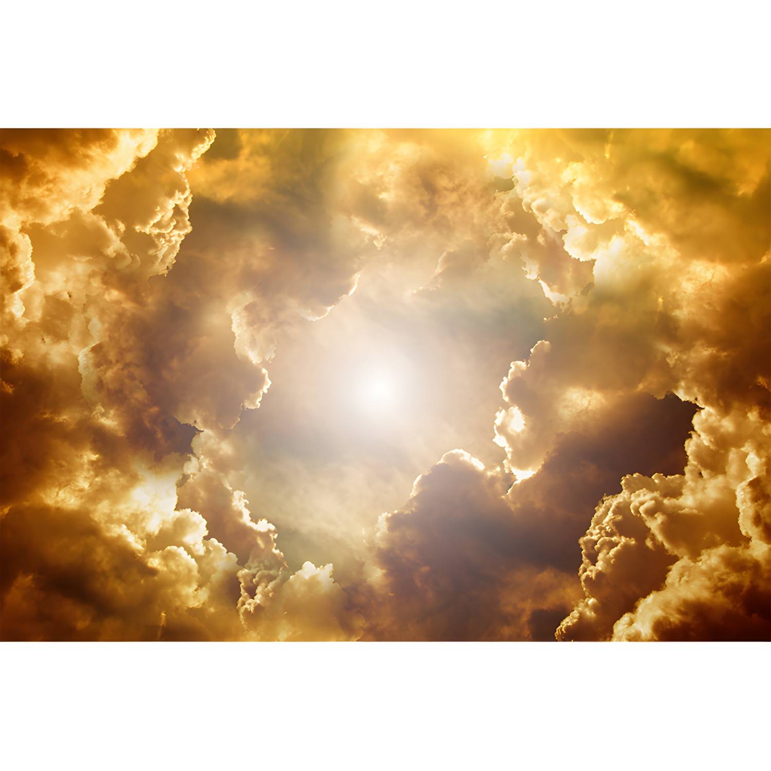 Imported image df2290bdd025 5172395.jpg