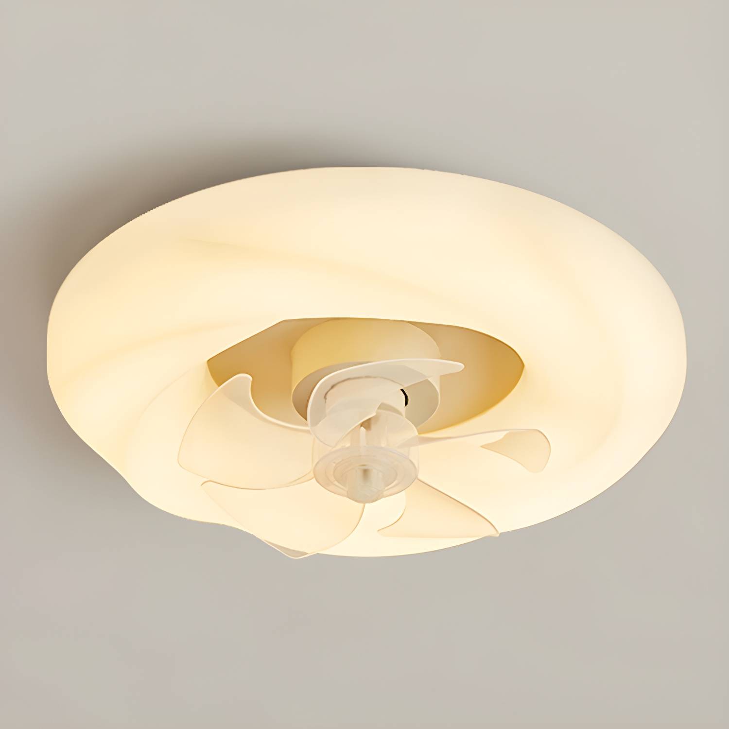 Imported image 080066dc28a3 5177902.jpg