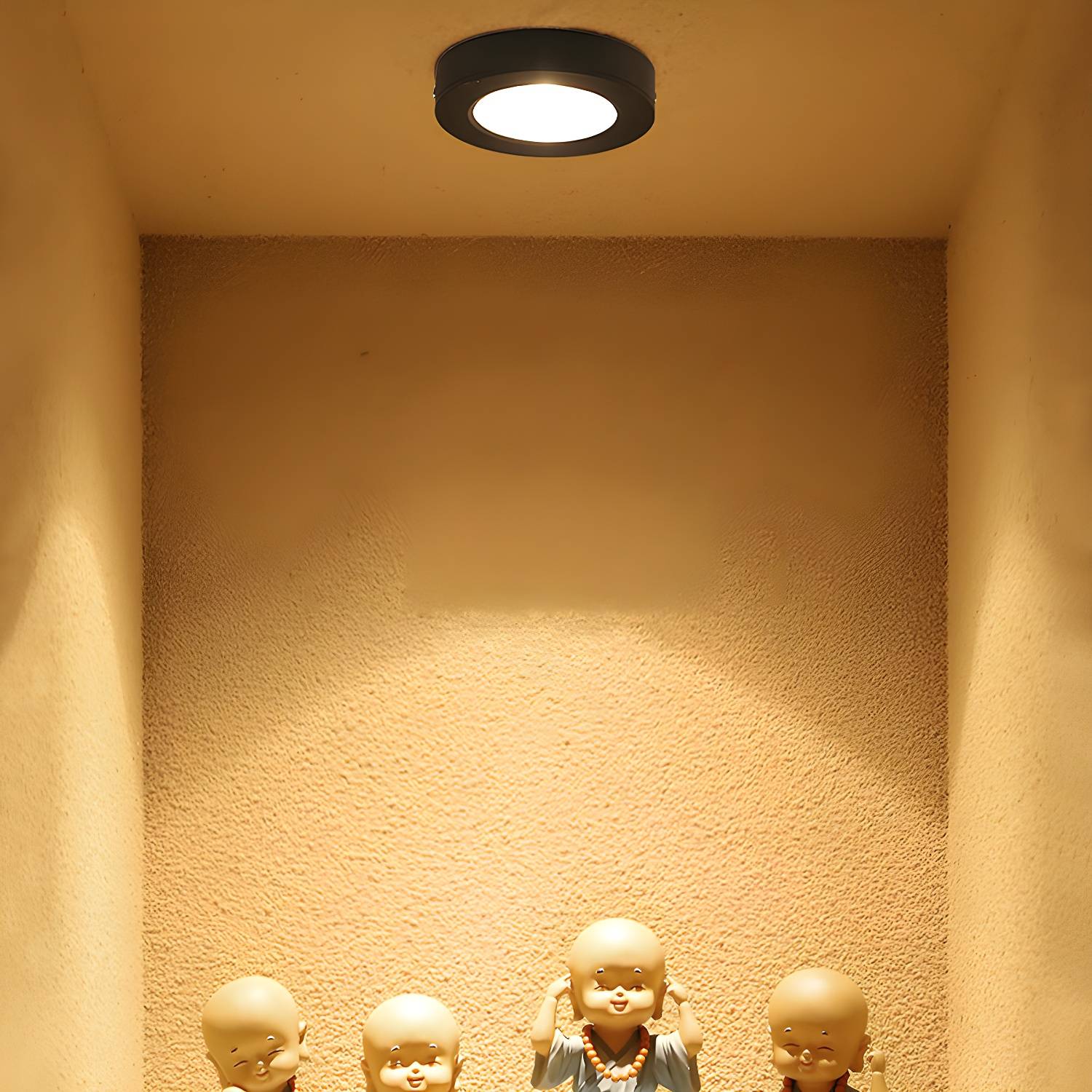 Imported image d723b7259799 5181823.jpg