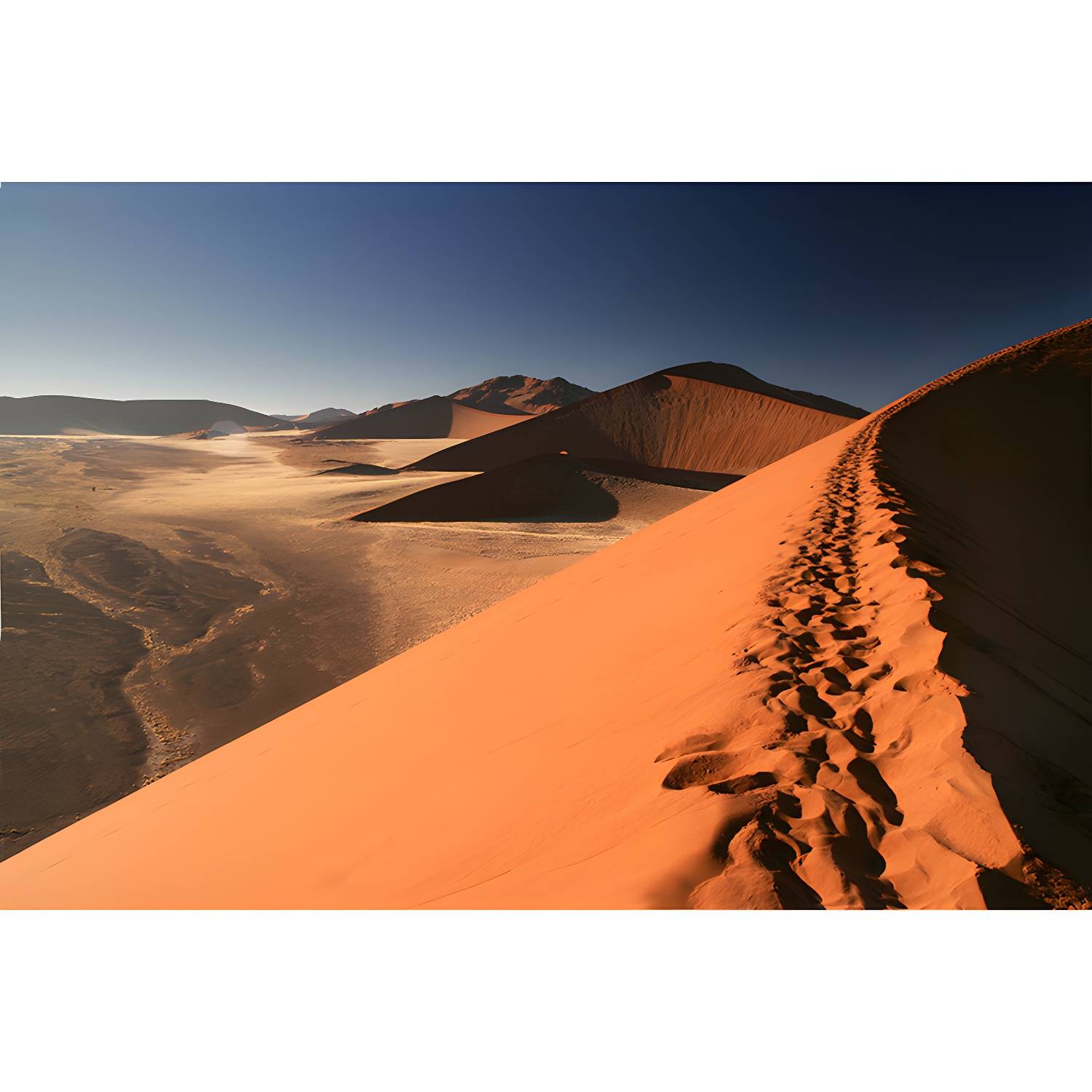 Imported image d6ee43c8db29 5186870.jpg