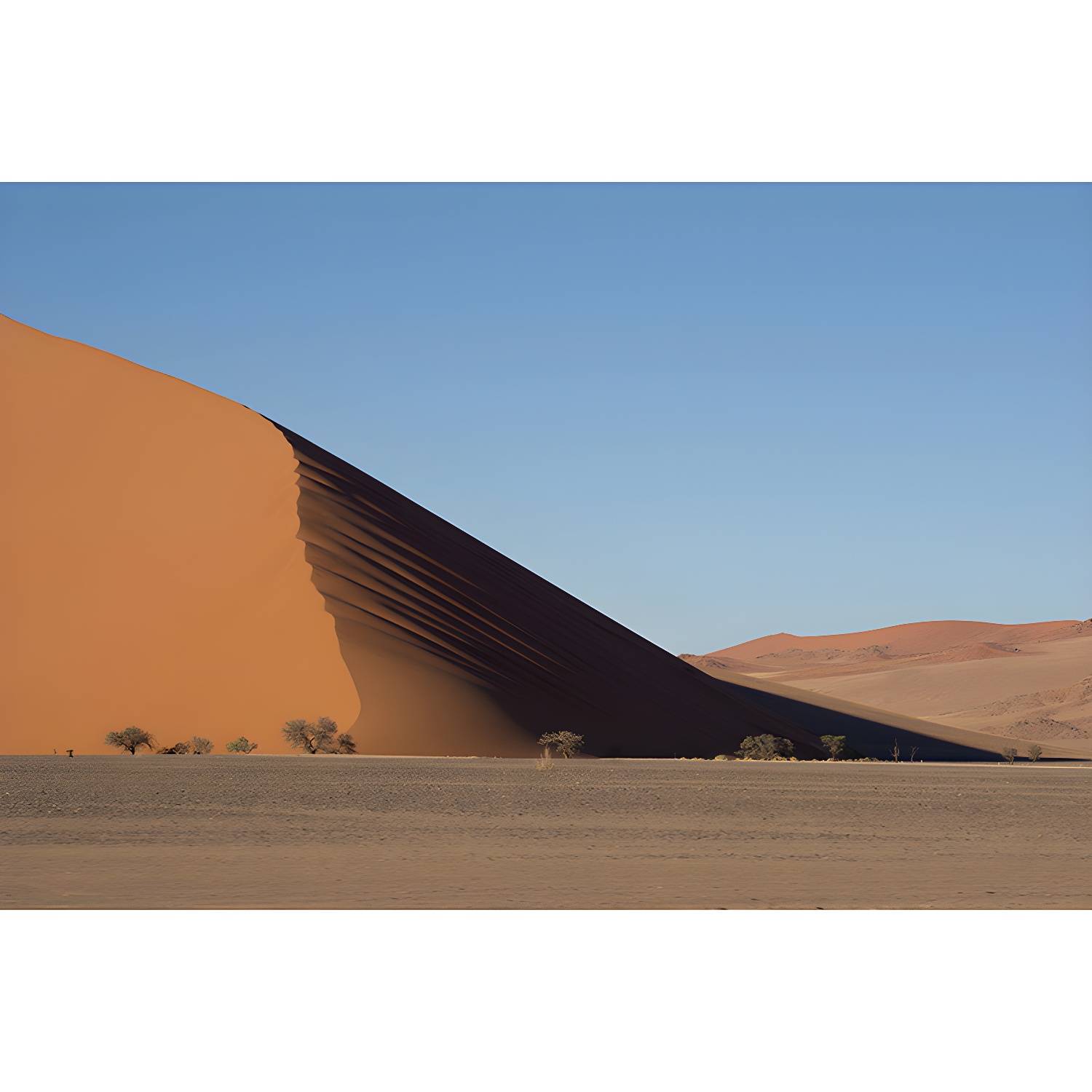 Imported image afce9896307b 5186878.jpg