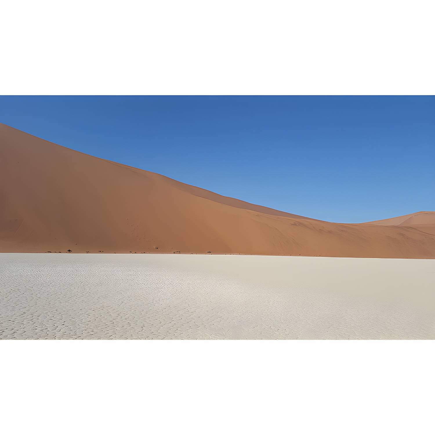 Imported image 895e79aeb135 5186910.jpg
