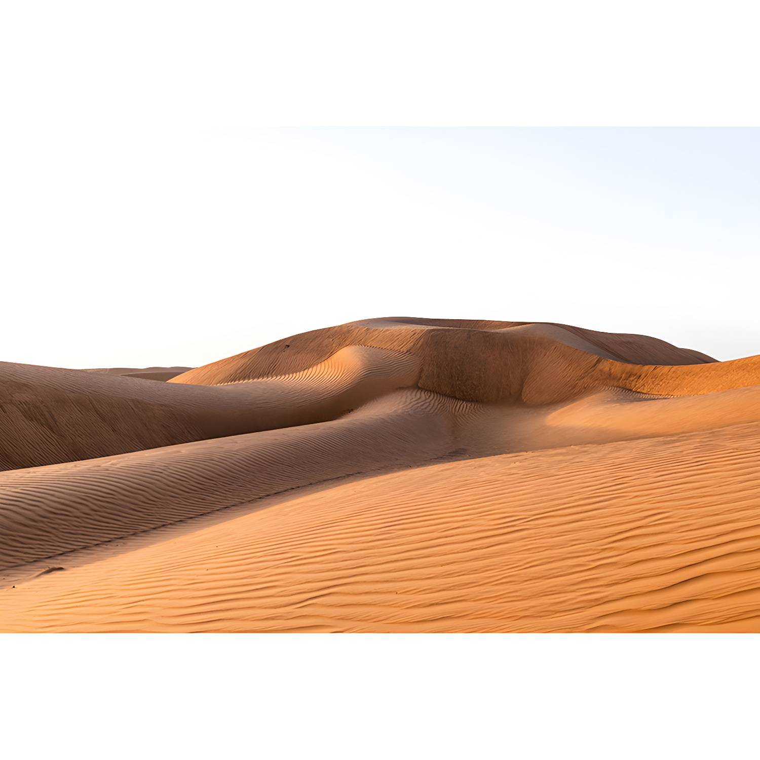 Imported image d85ab58440b2 5186942.jpg