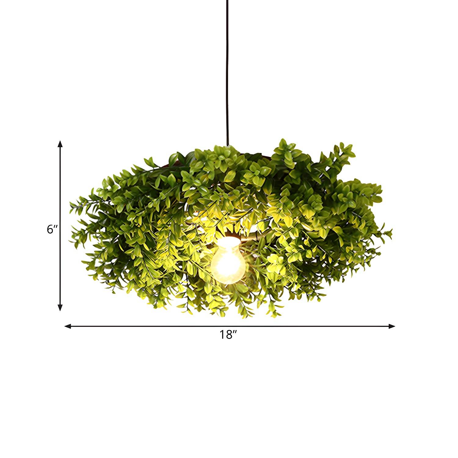 Imported image 844a15a4d43d 519454.jpg