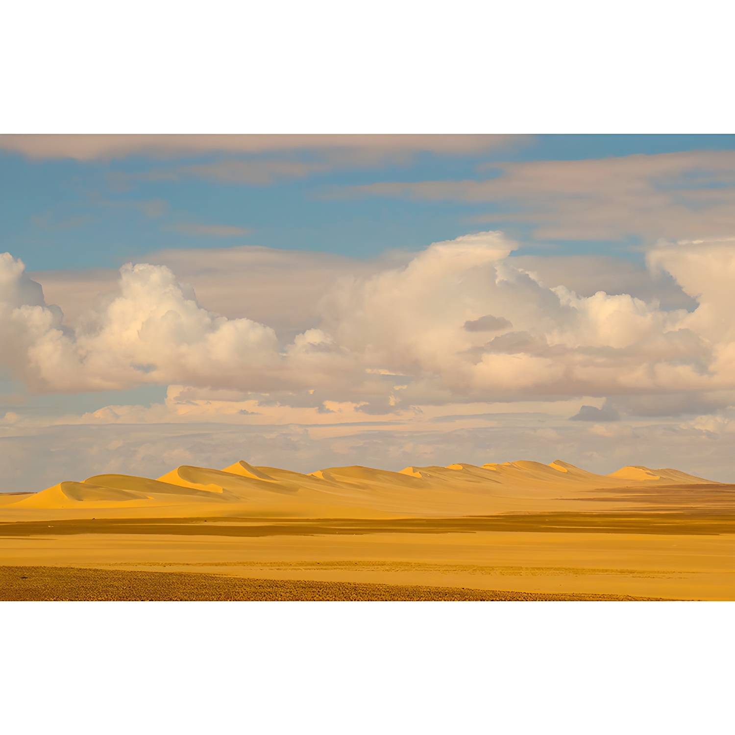 Imported image a395be82ef54 5196268.jpg