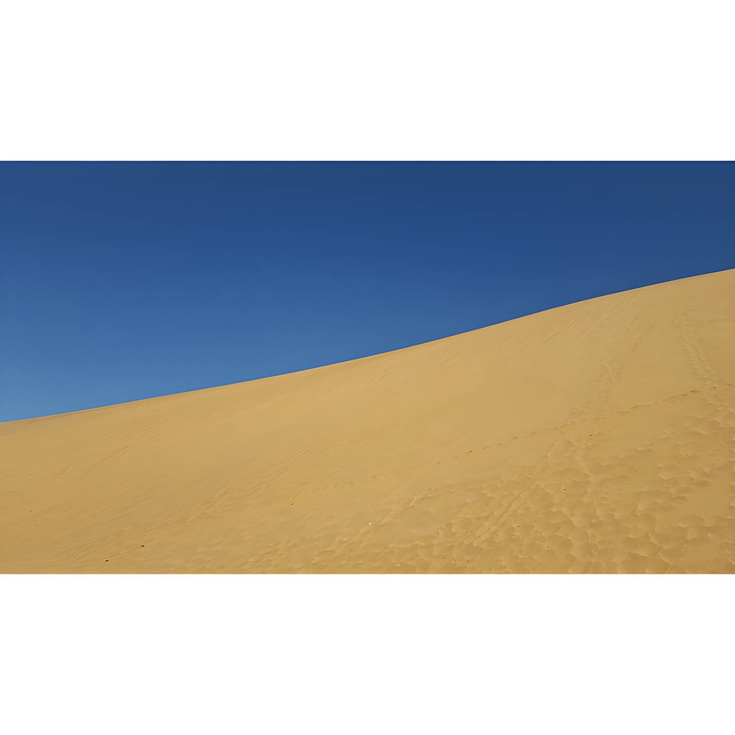 Imported image 932da7f68da2 5196272.jpg
