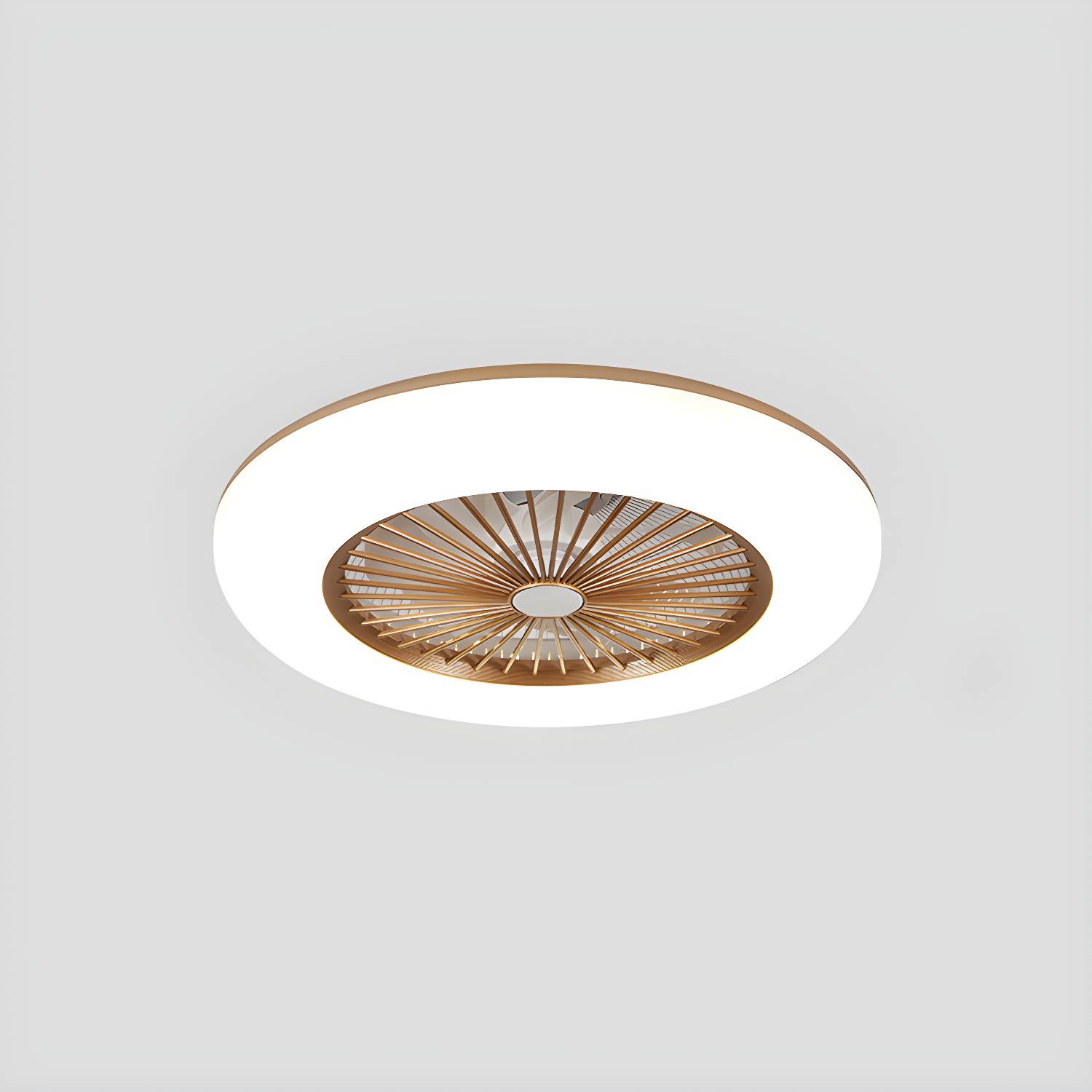 Imported image e7e38ff5c50e 5206704.jpg