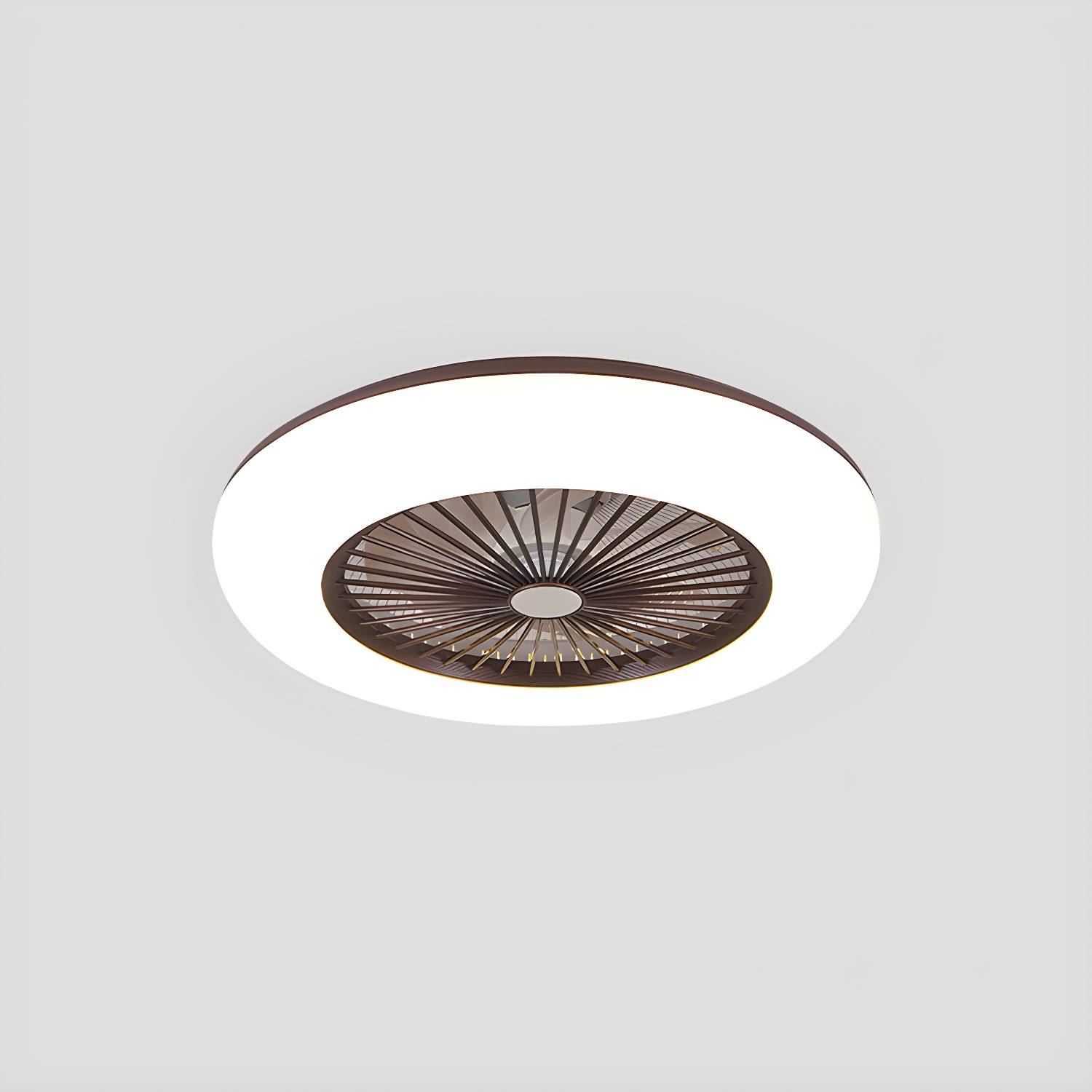 Imported image 036db70890ce 5206721.jpg