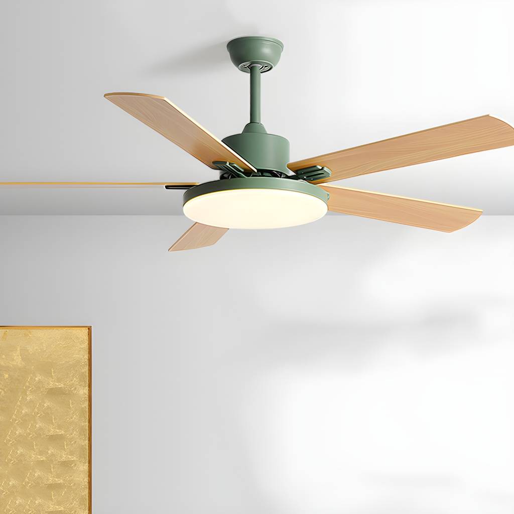 Imported image e1fbc923682c 5206733.jpg
