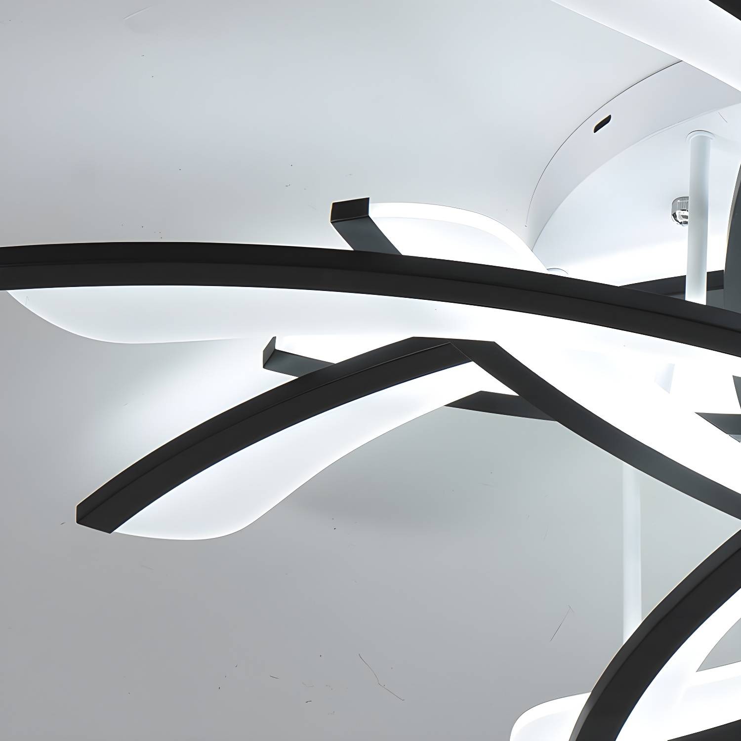 Imported image f25f007cd43a 5212502.jpg
