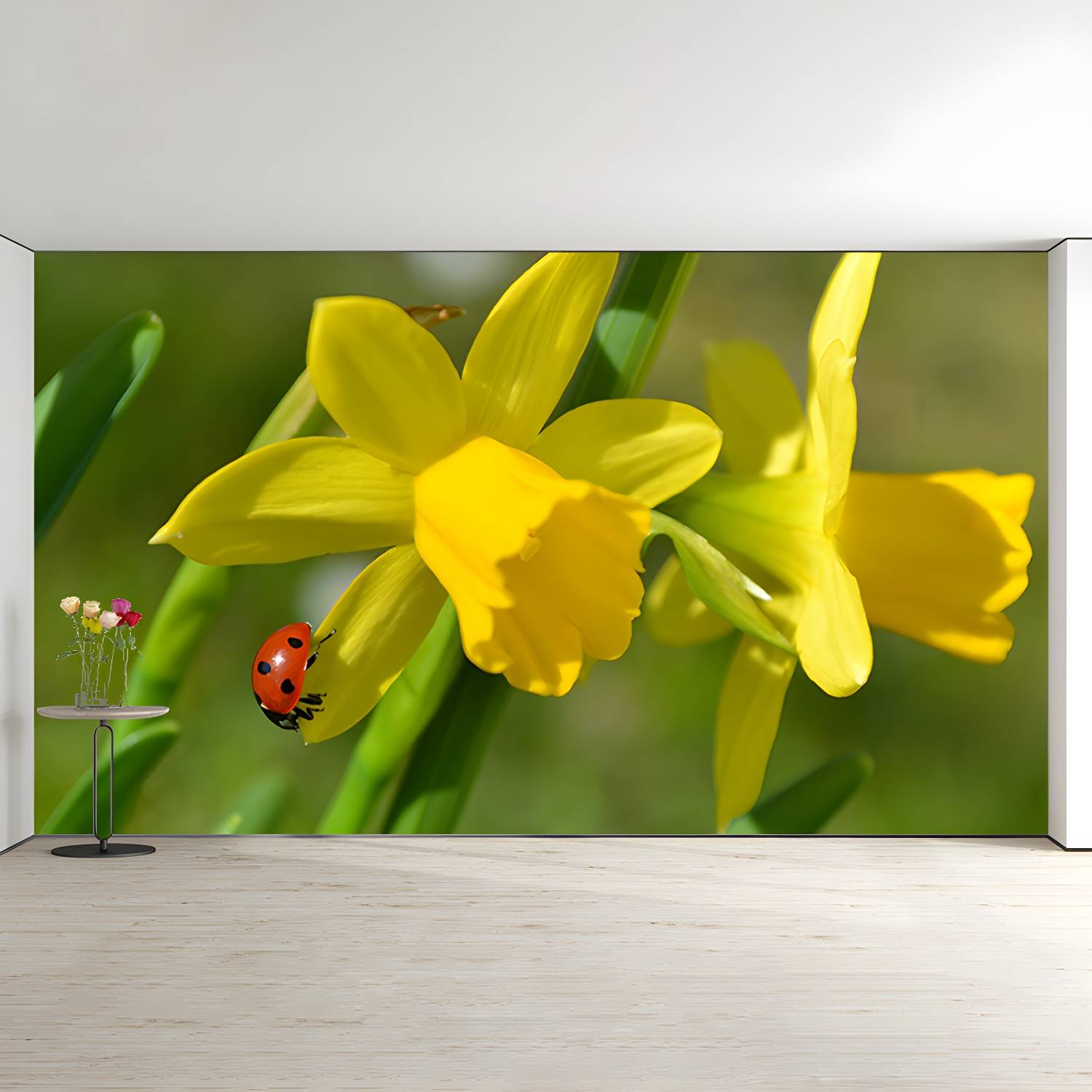 Imported image 335f5490d96e 5220672.jpg