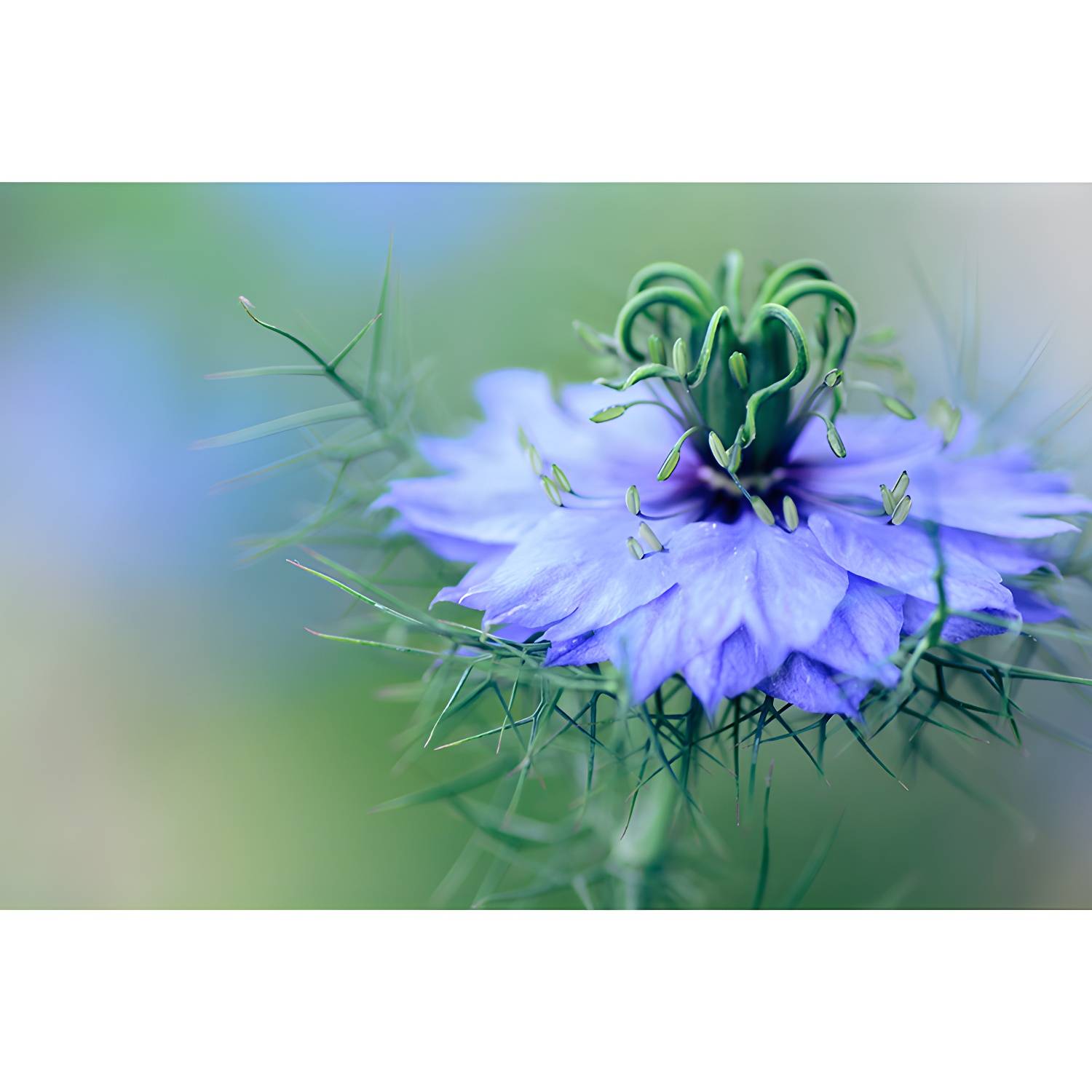 Imported image 3bd5e5c81d6c 5220678.jpg