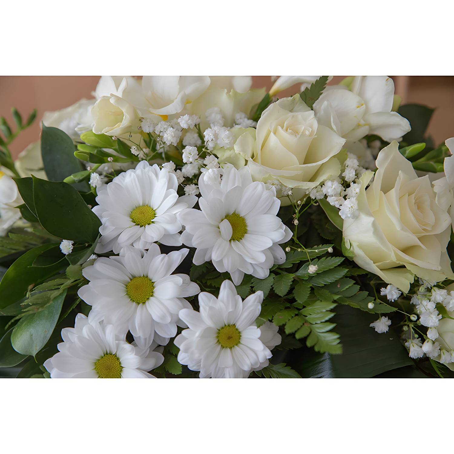 Imported image eb413d811674 5220686.jpg