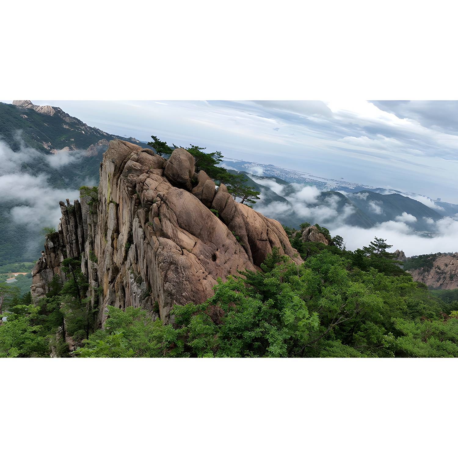 Imported image 46aa1a01d2f0 5224629.jpg