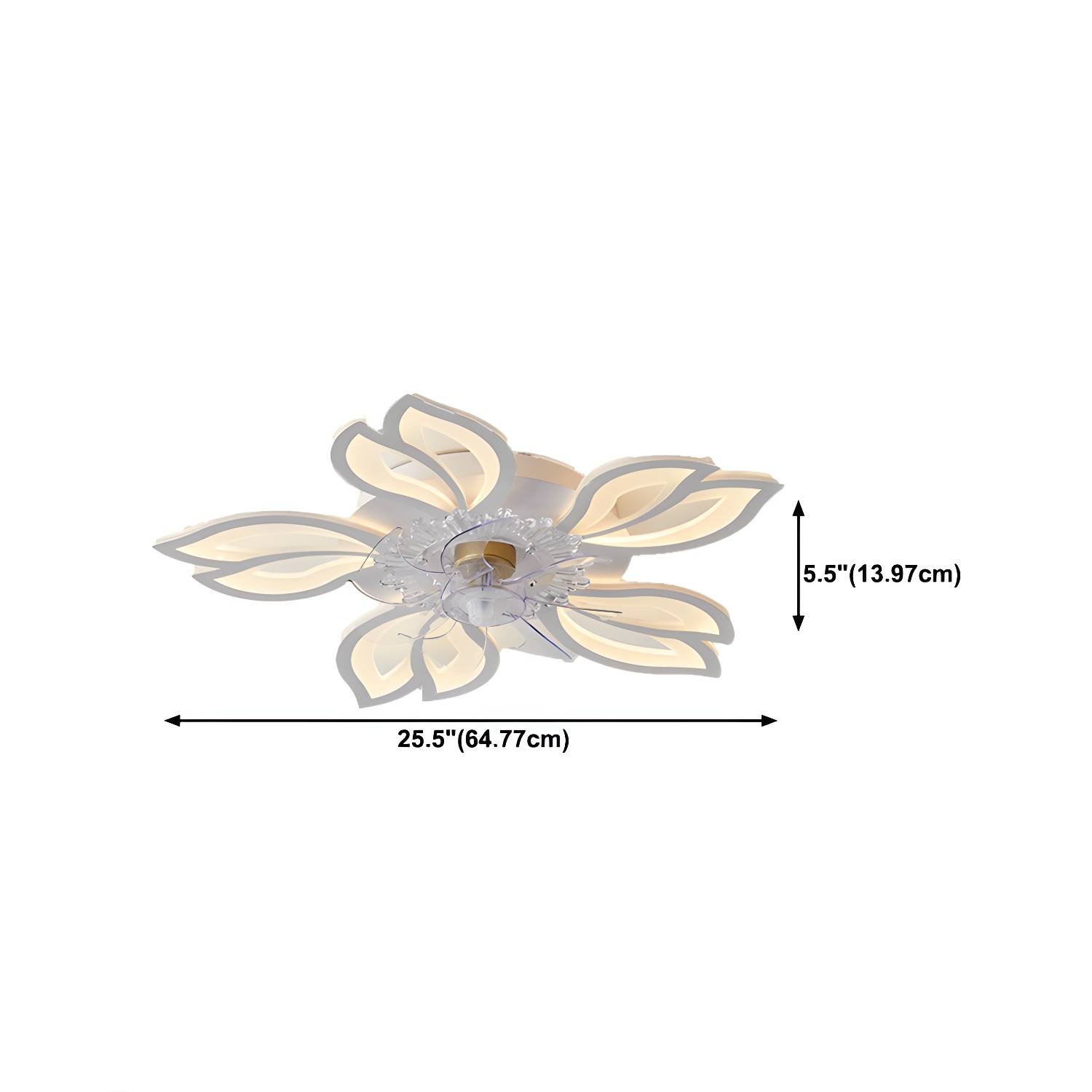 Imported image c04973038417 5231024.jpg