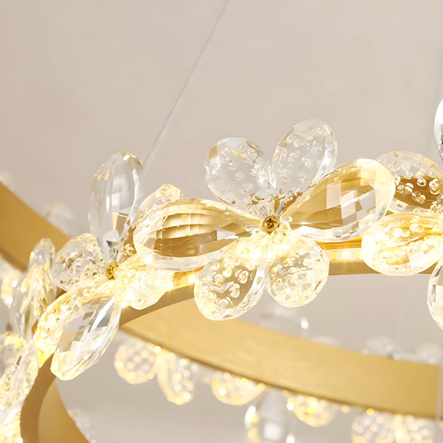 Imported image 6d6eace014d1 5239116.jpg