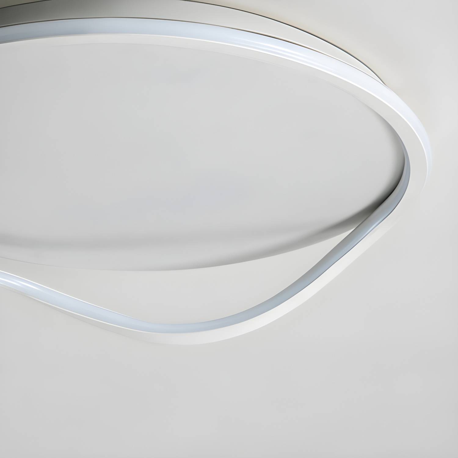 Imported image e4cdf5dd3113 5249628.jpg