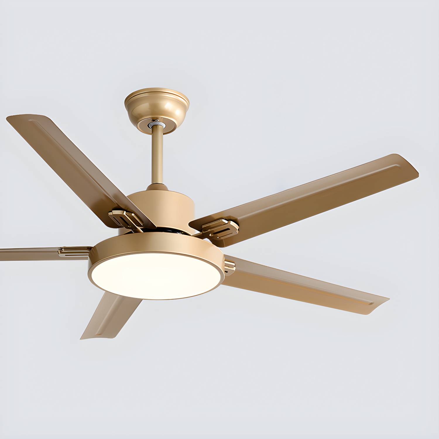 Imported image d835382d48bf 5262074.jpg