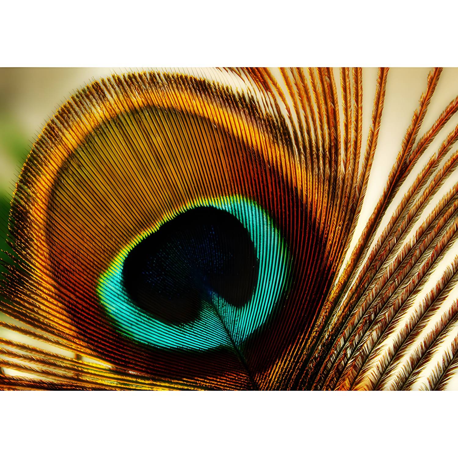 Imported image b78e7f1e37c4 5264039.jpg