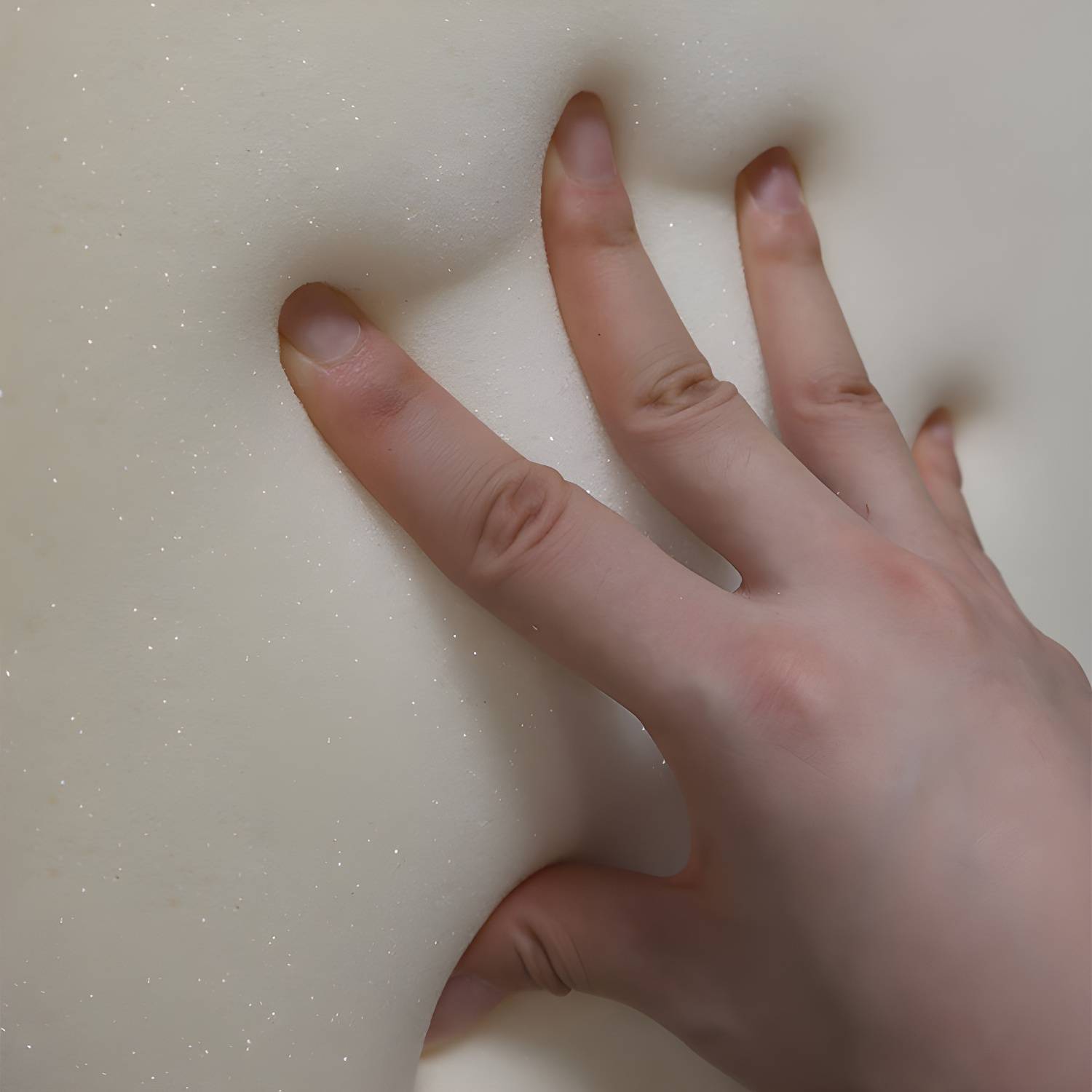 Imported image 53fdf308d193 5266417.jpg