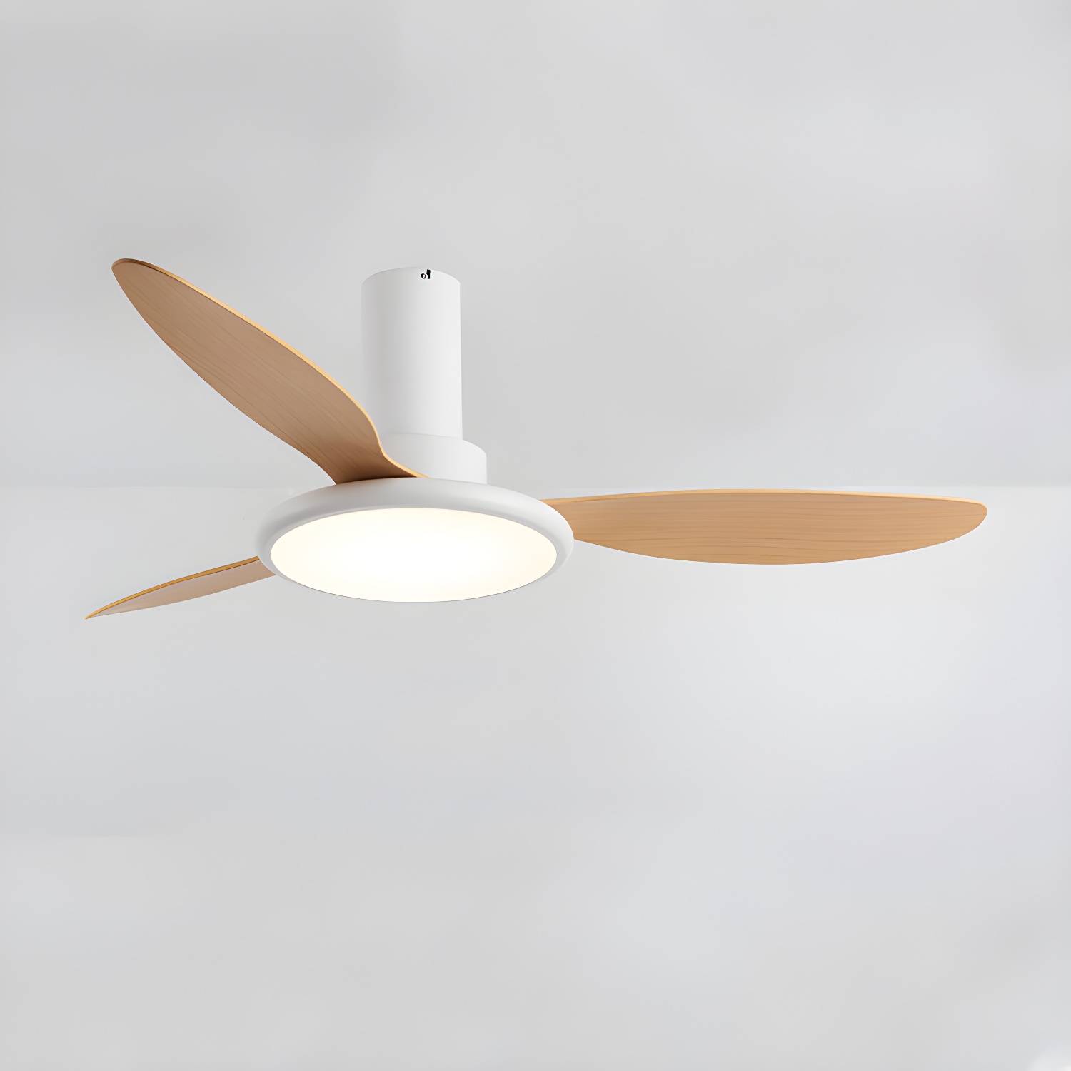 Imported image e1cb6f974755 5275261.jpg