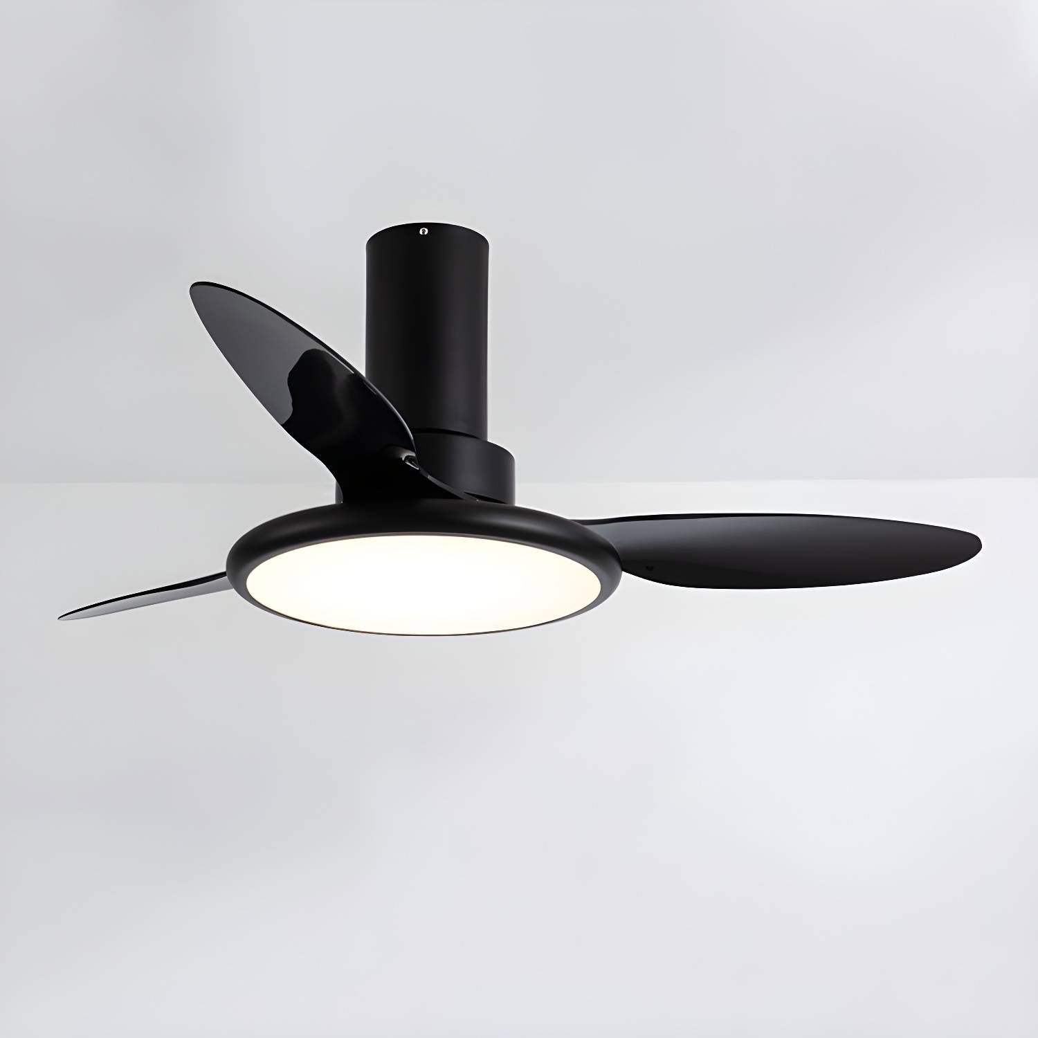Imported image 24926dc40c9c 5275263.jpg