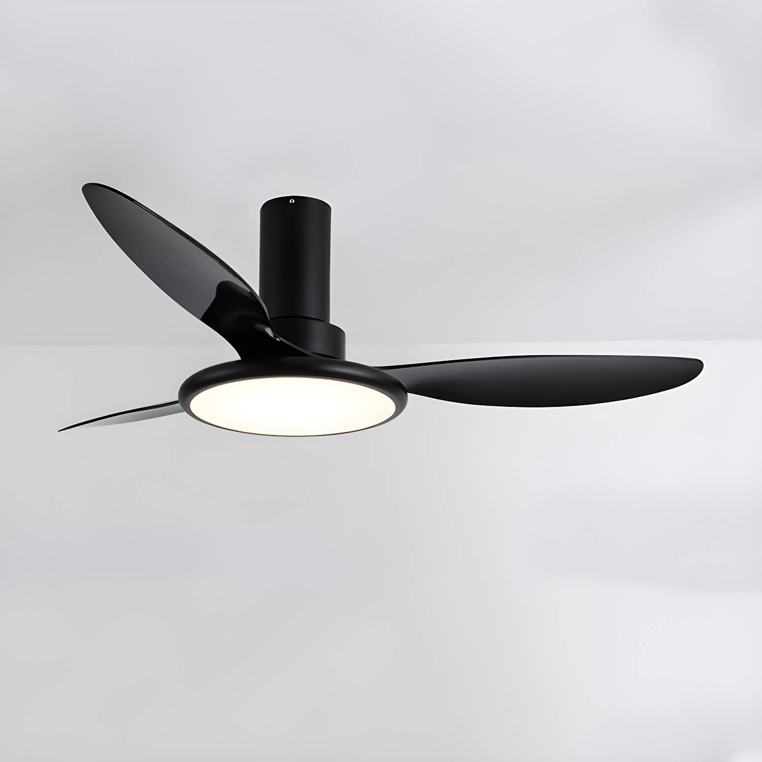 Imported image 1e9d2eef5b19 5275264.jpg